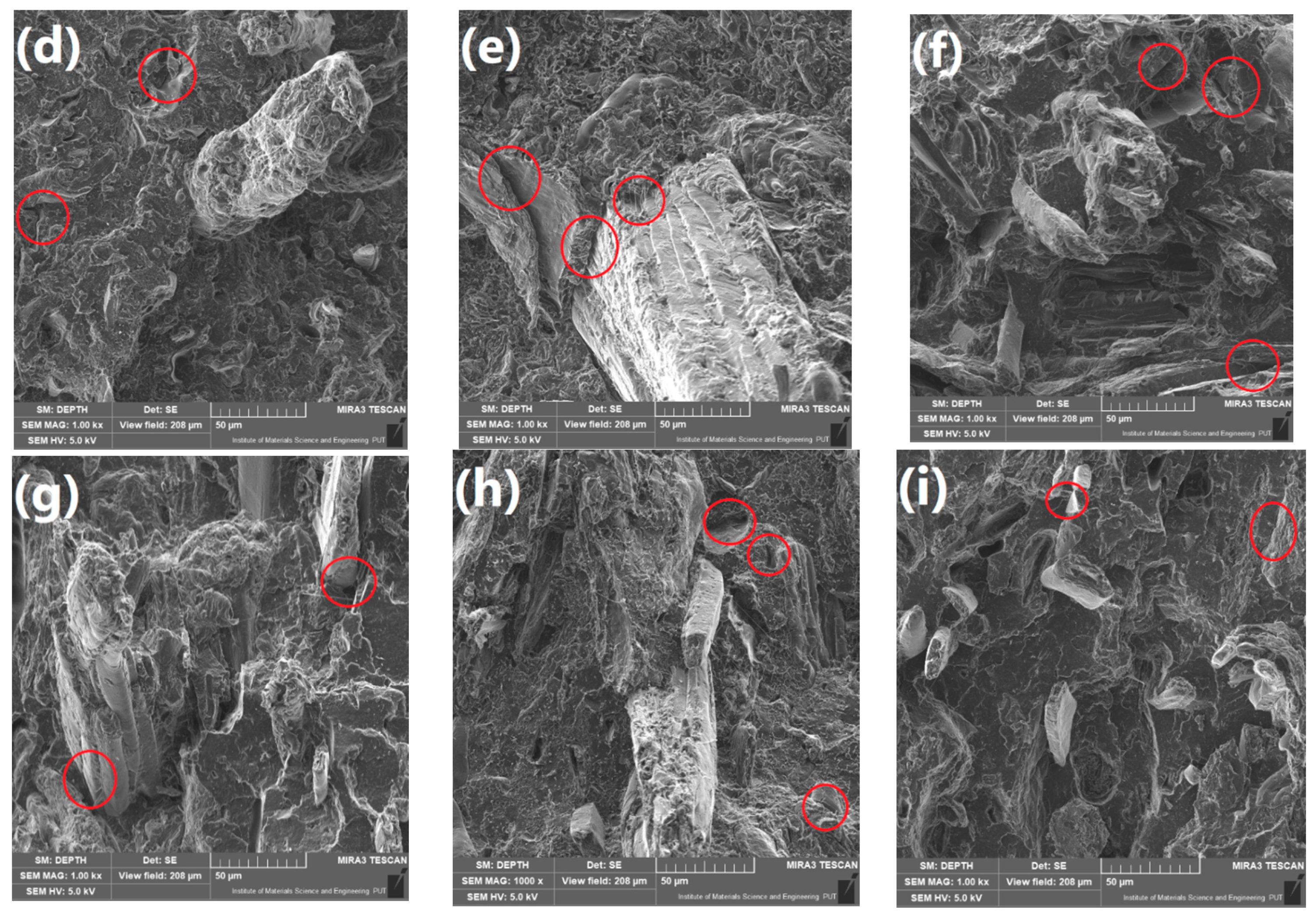 Polymers 13 00893 g004b