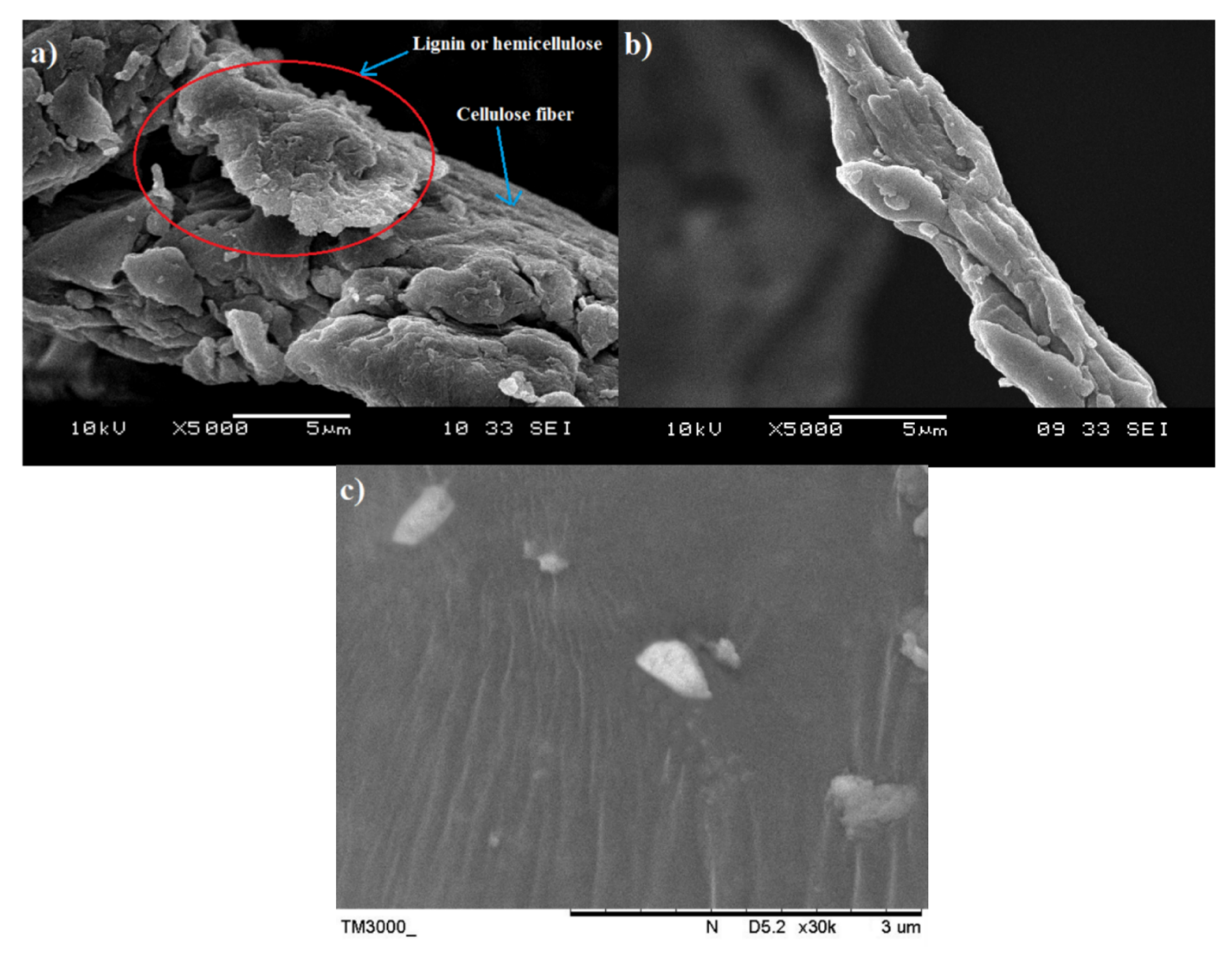 Polymers 13 00897 g001