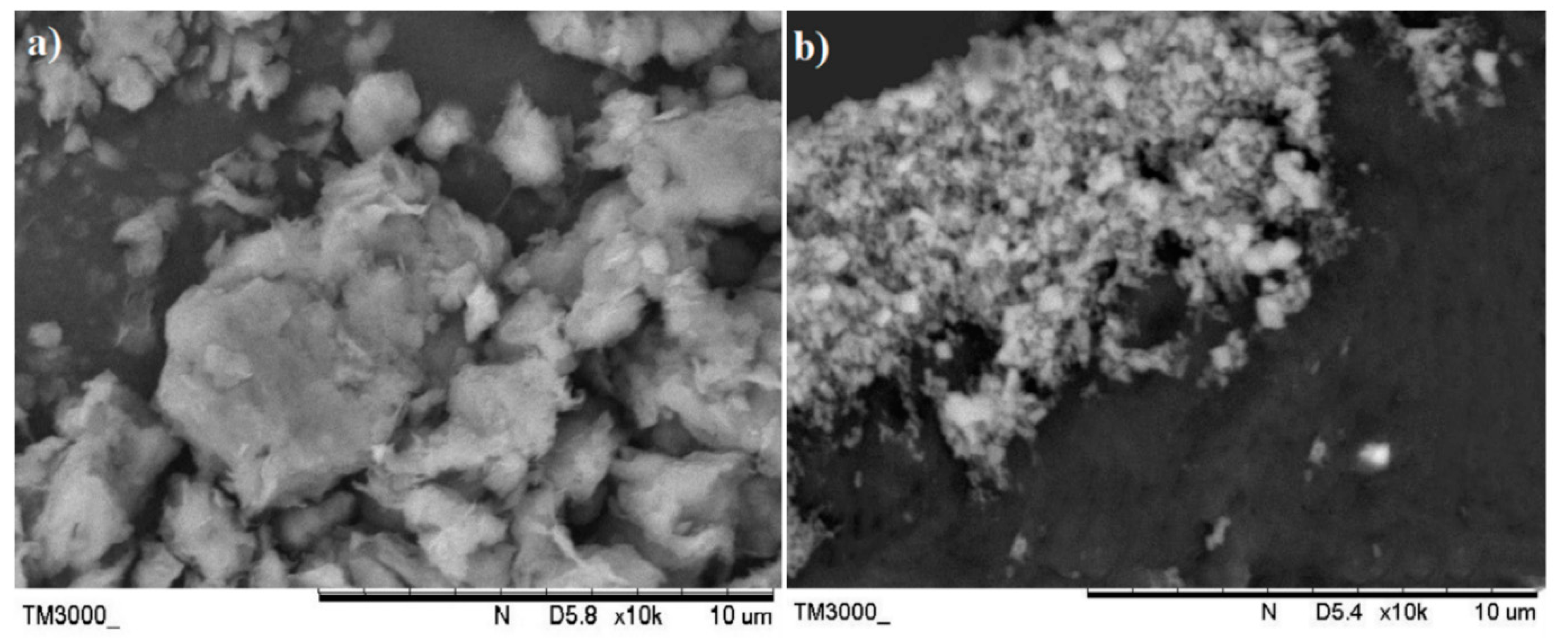 Polymers 13 00897 g002