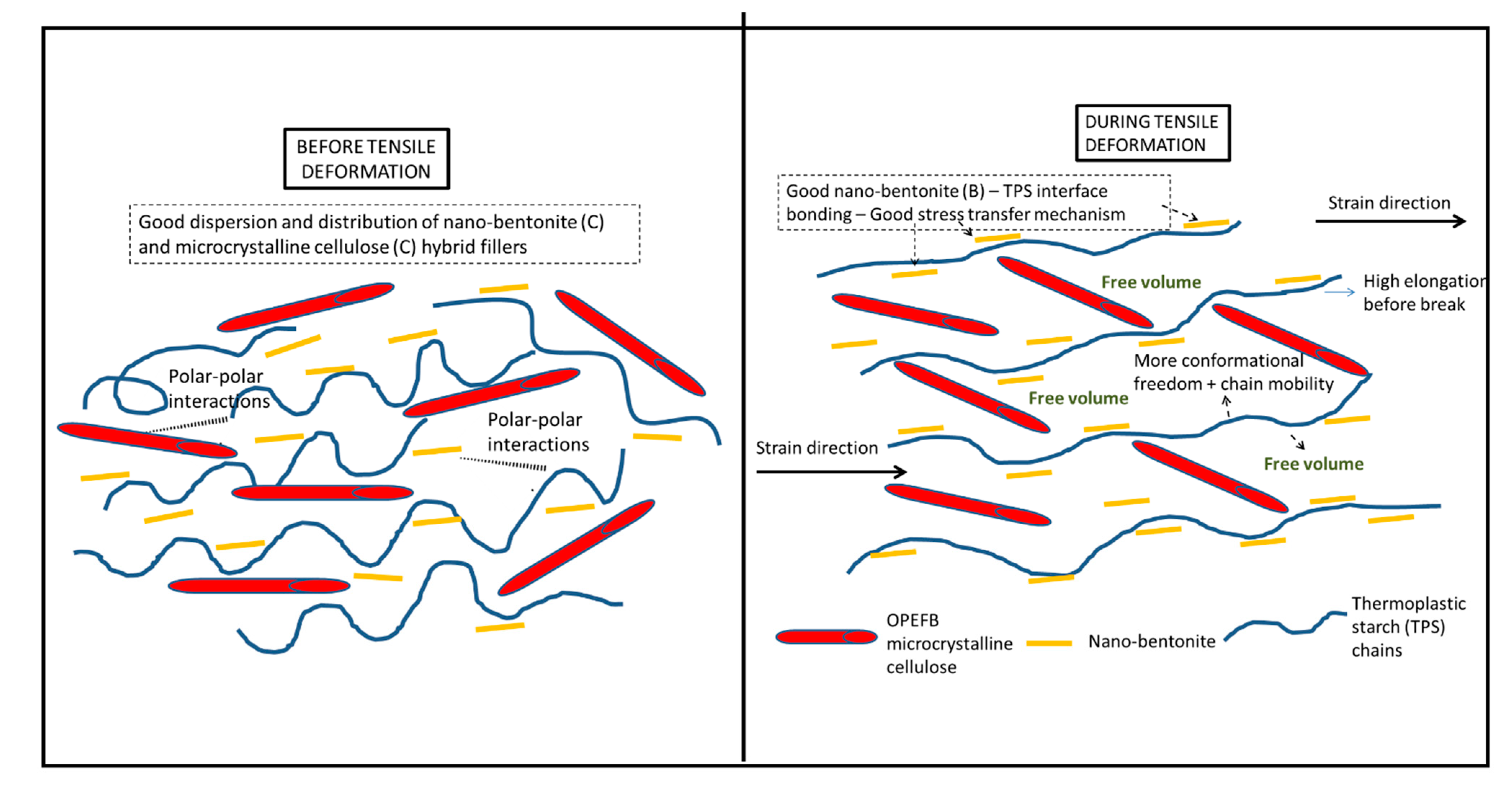 Polymers 13 00897 g009