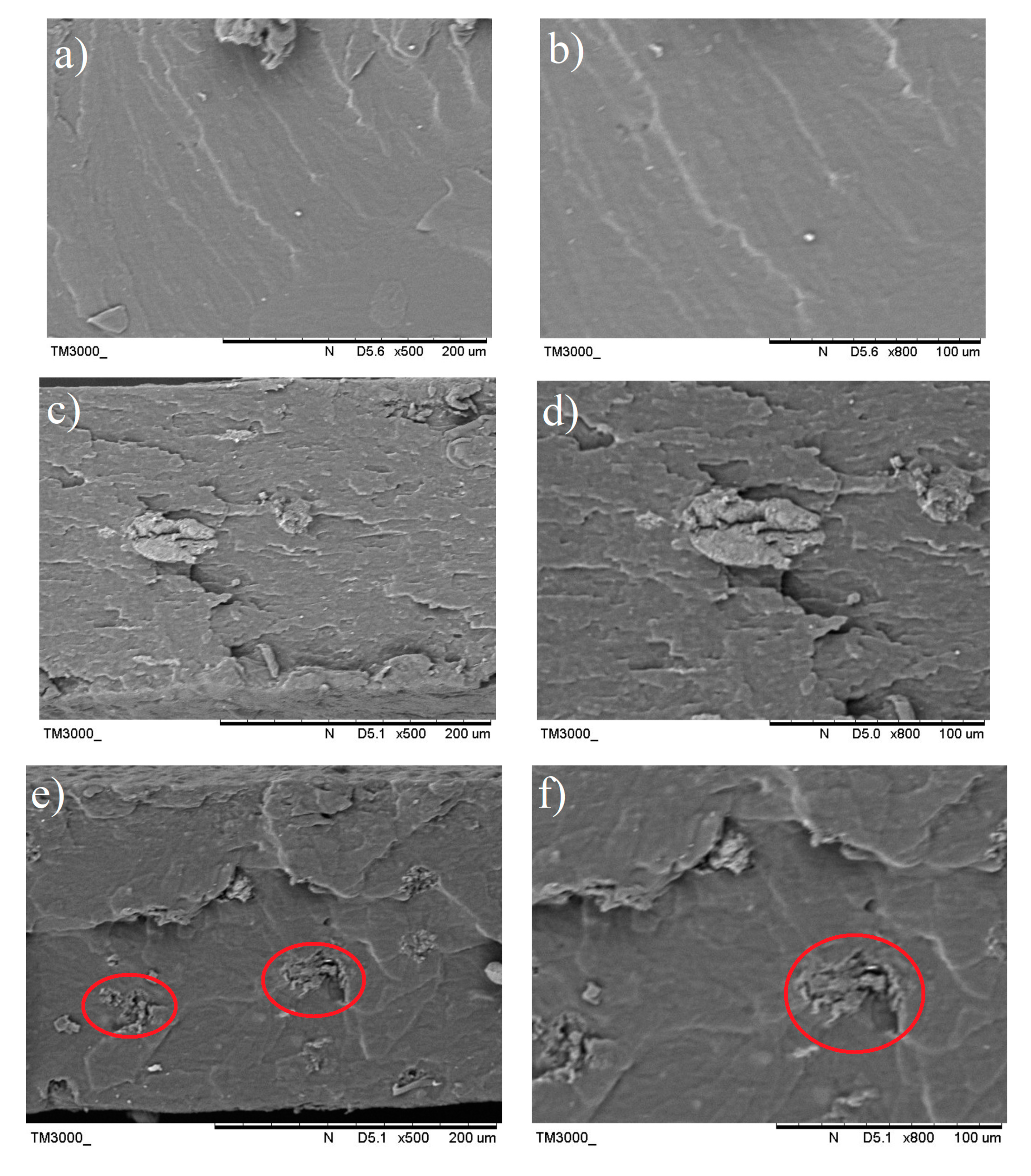 Polymers 13 00897 g012a