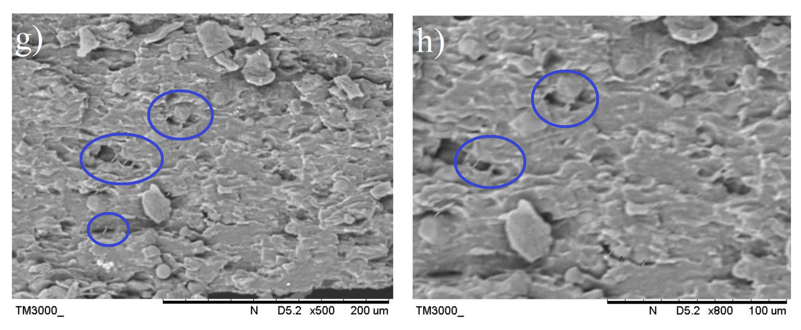 Polymers 13 00897 g012b