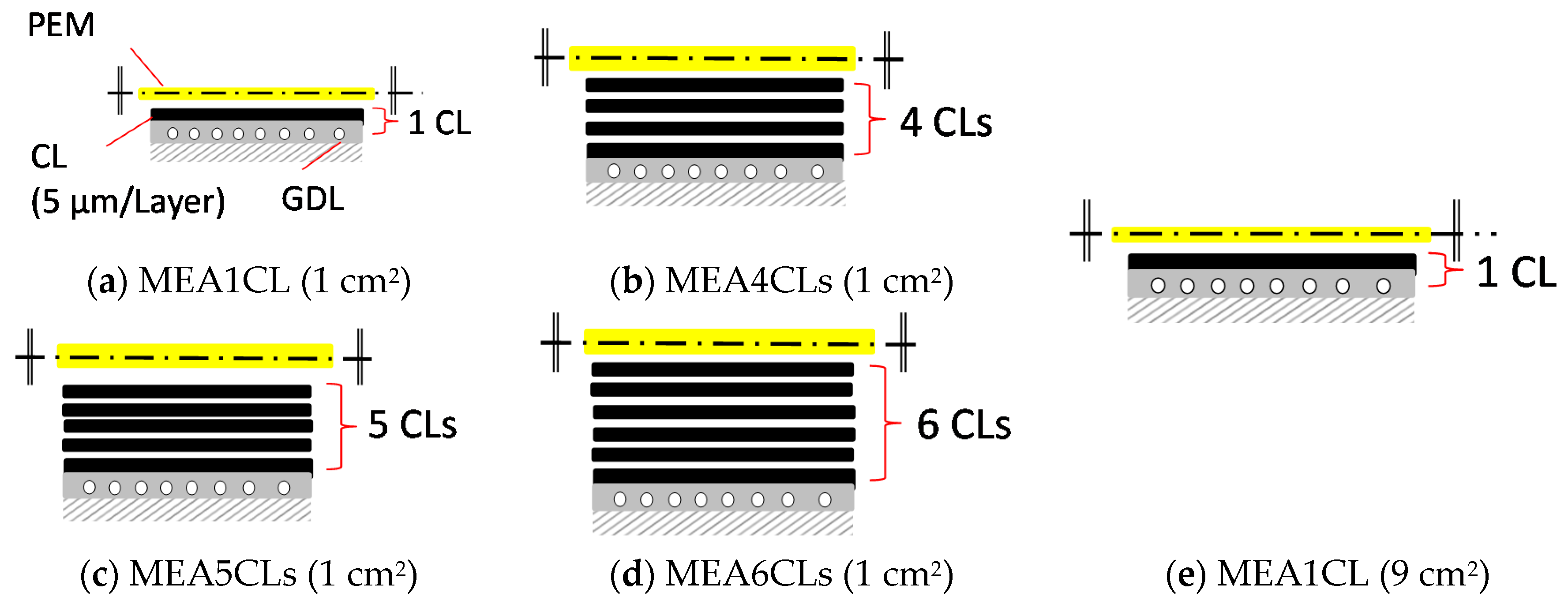 Polymers 13 00899 g002 Polymers 13 00899 g002