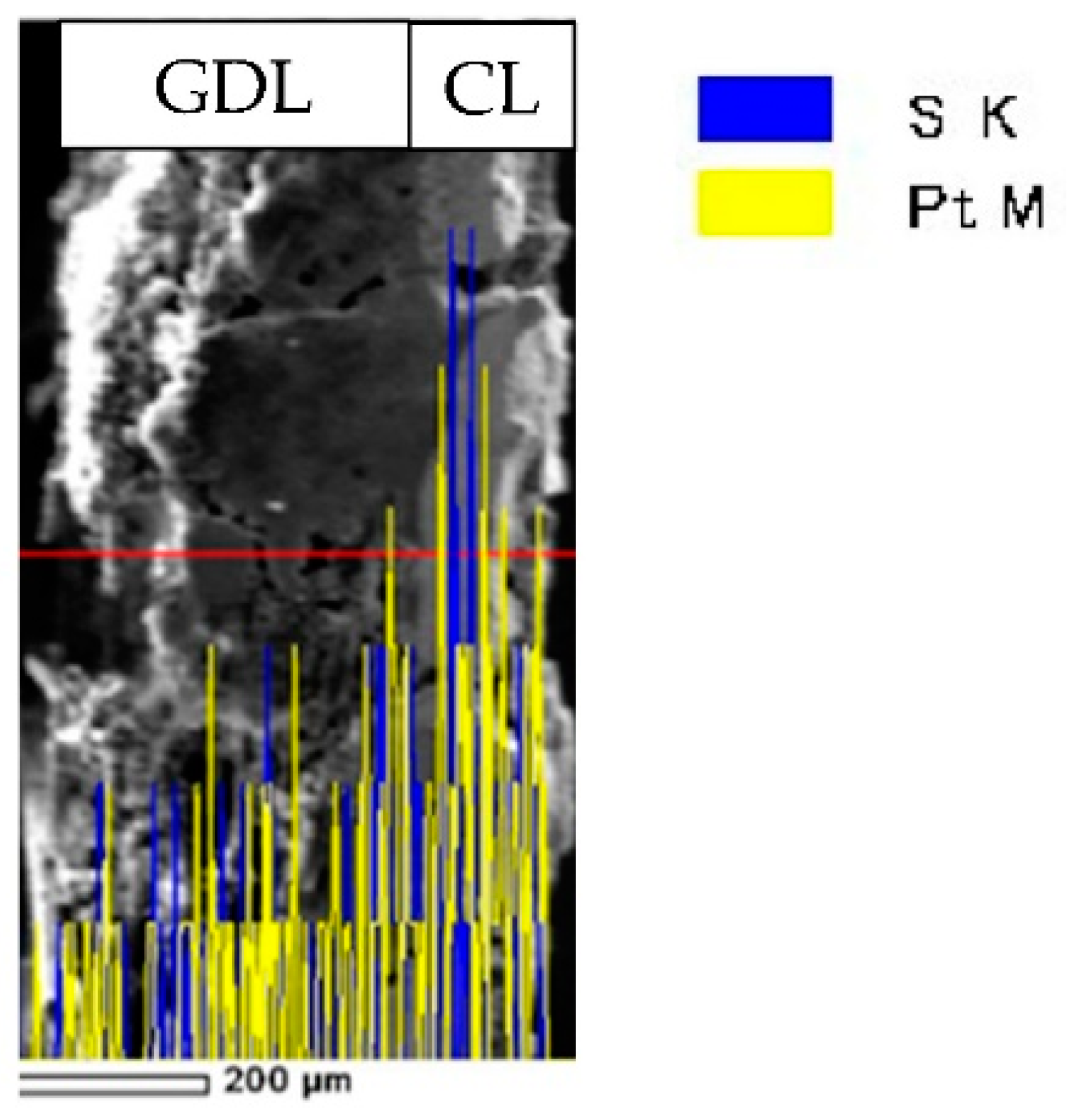 Polymers 13 00899 g006 Polymers 13 00899 g006