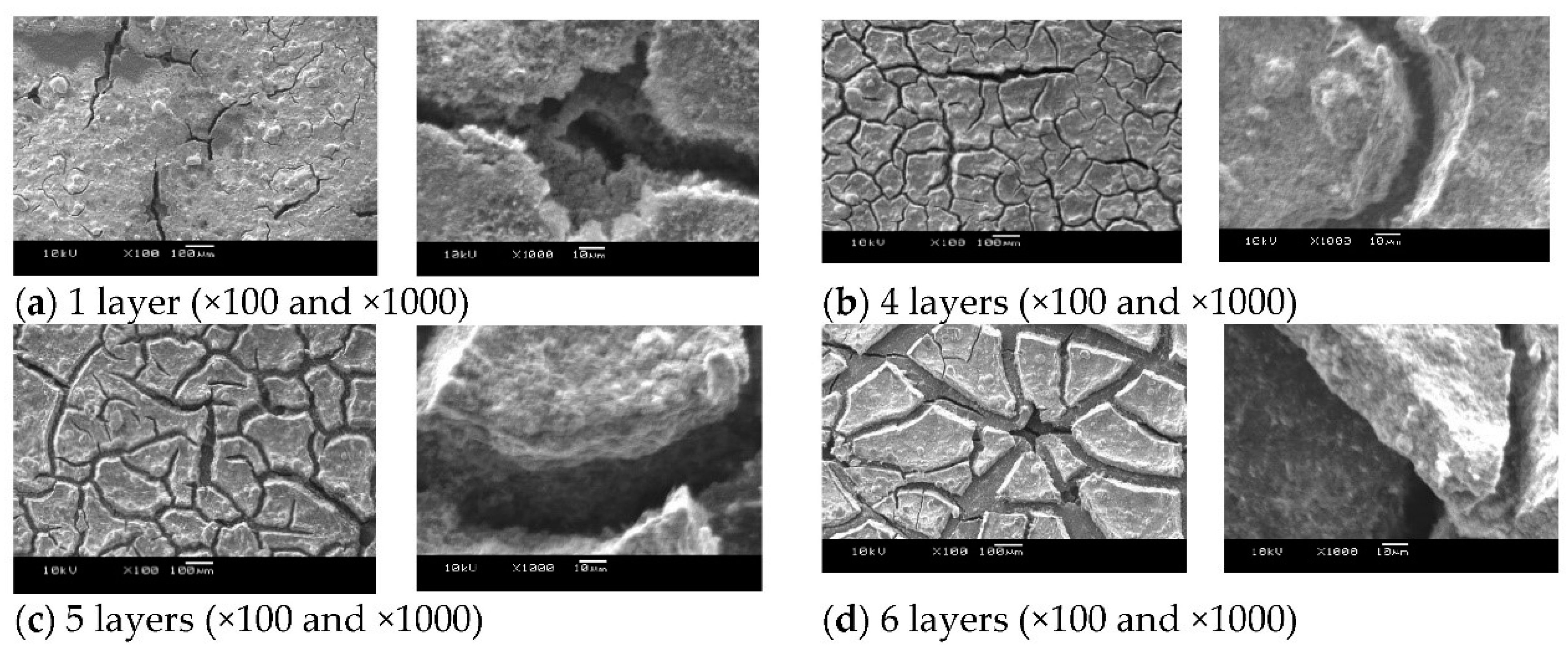 Polymers 13 00899 g007 Polymers 13 00899 g007