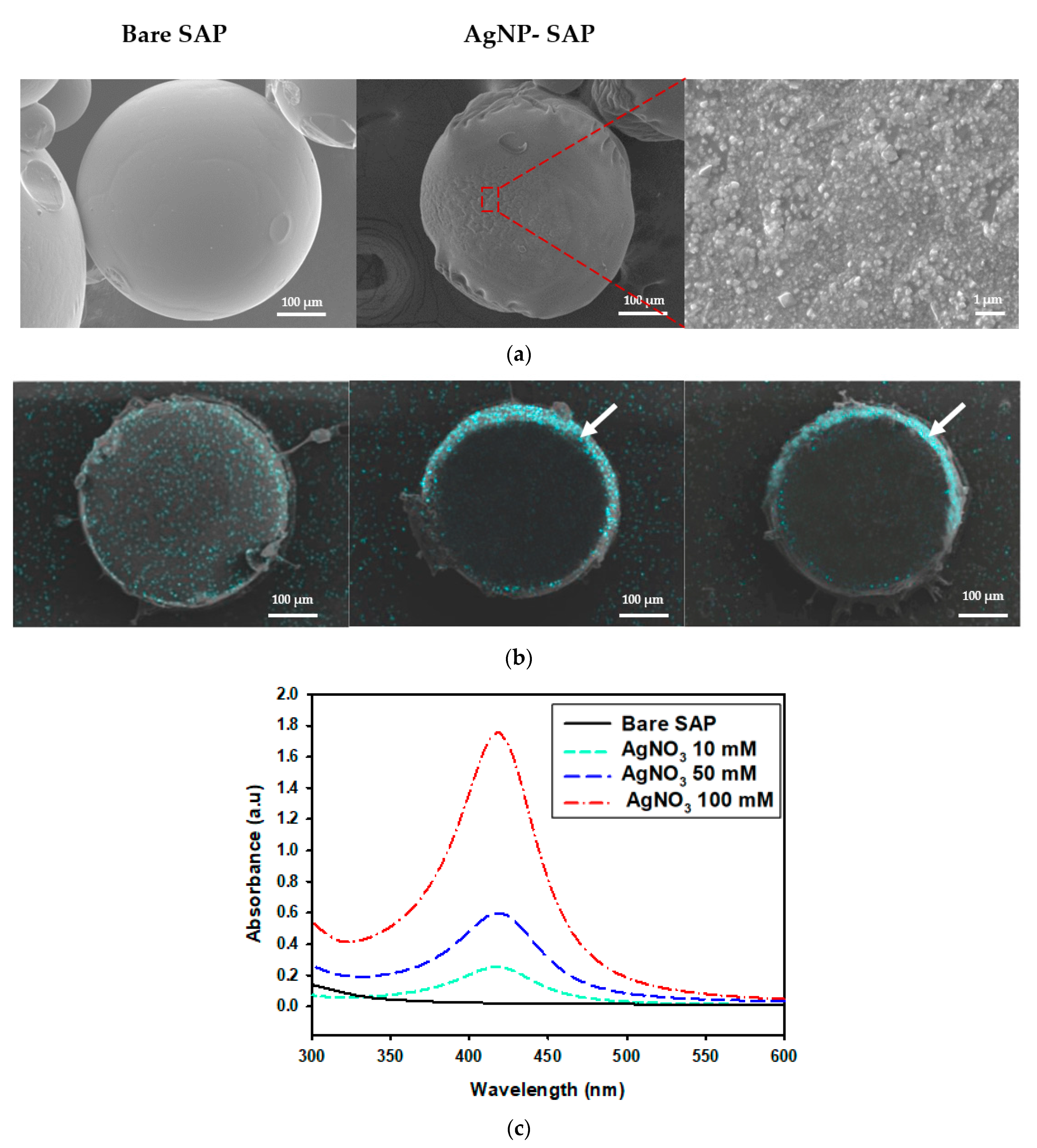Polymers 13 00902 g001