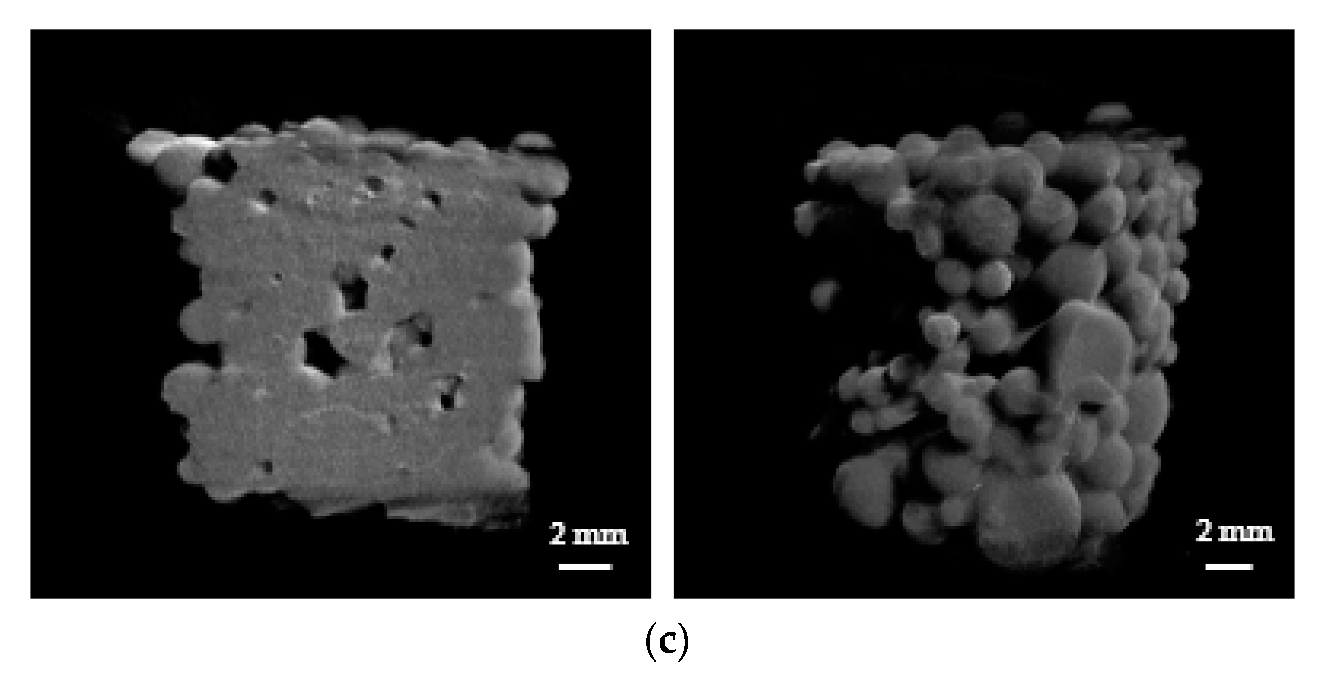 Polymers 13 00902 g004b