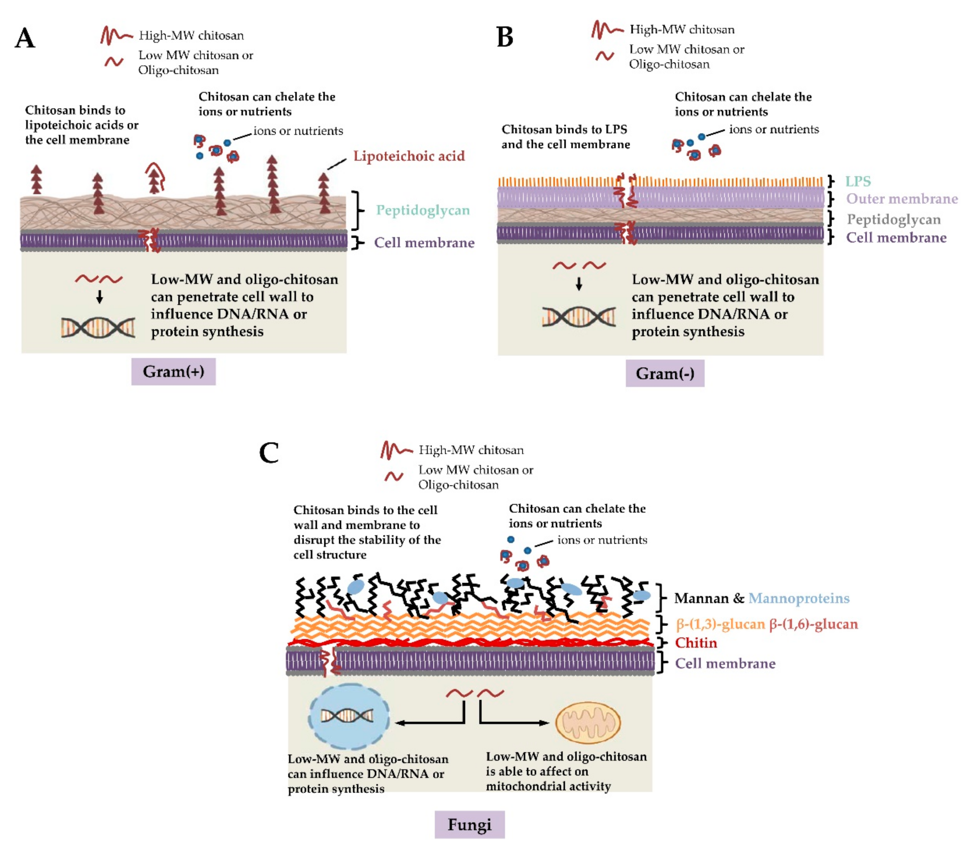 Polymers 13 00904 g001