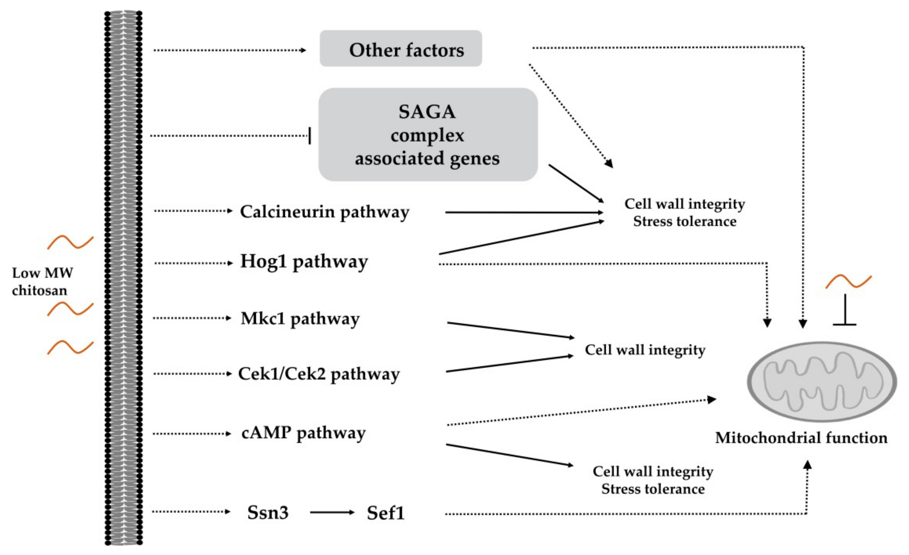 Polymers 13 00904 g002