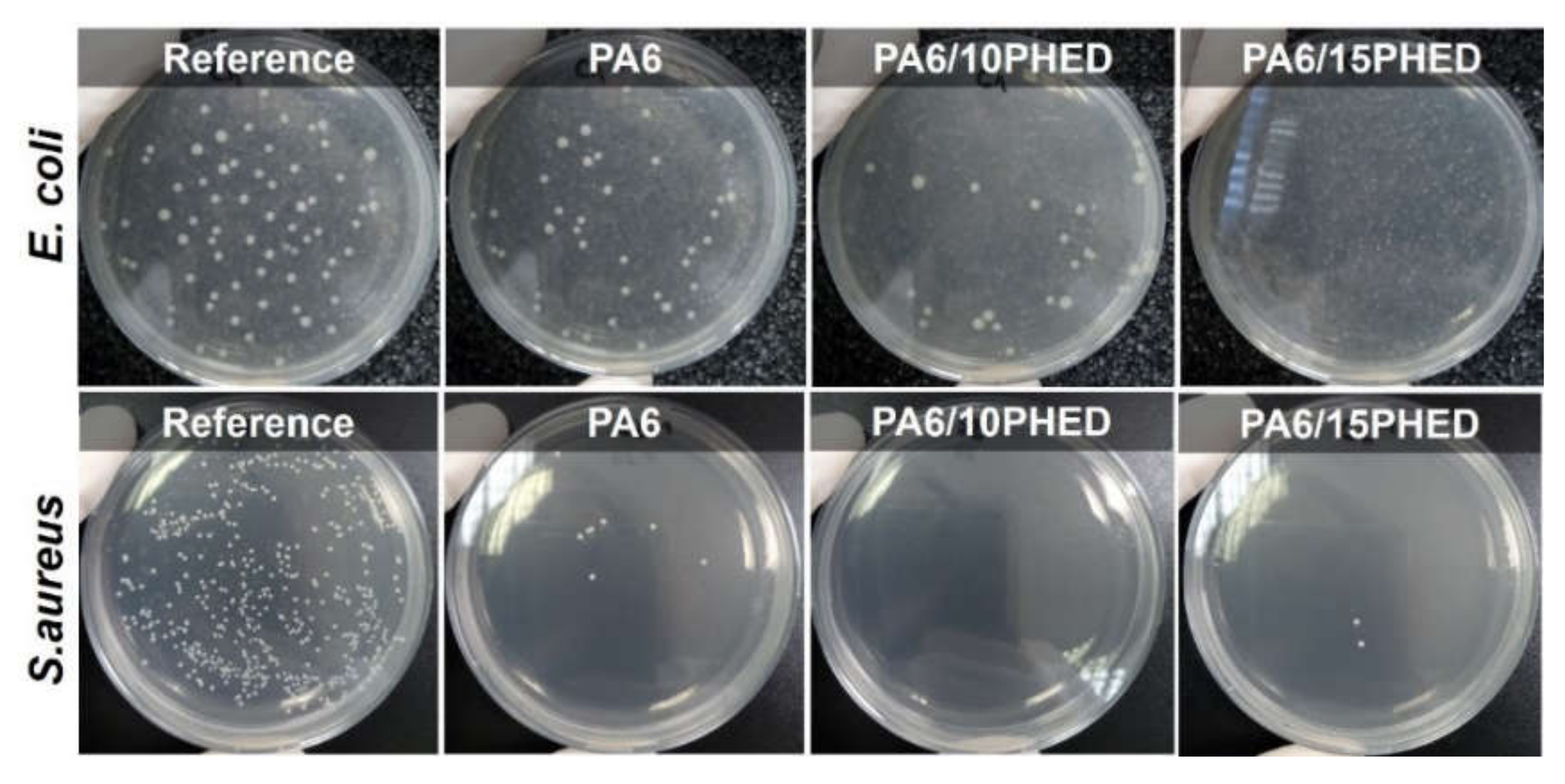 Polymers 13 00905 g003