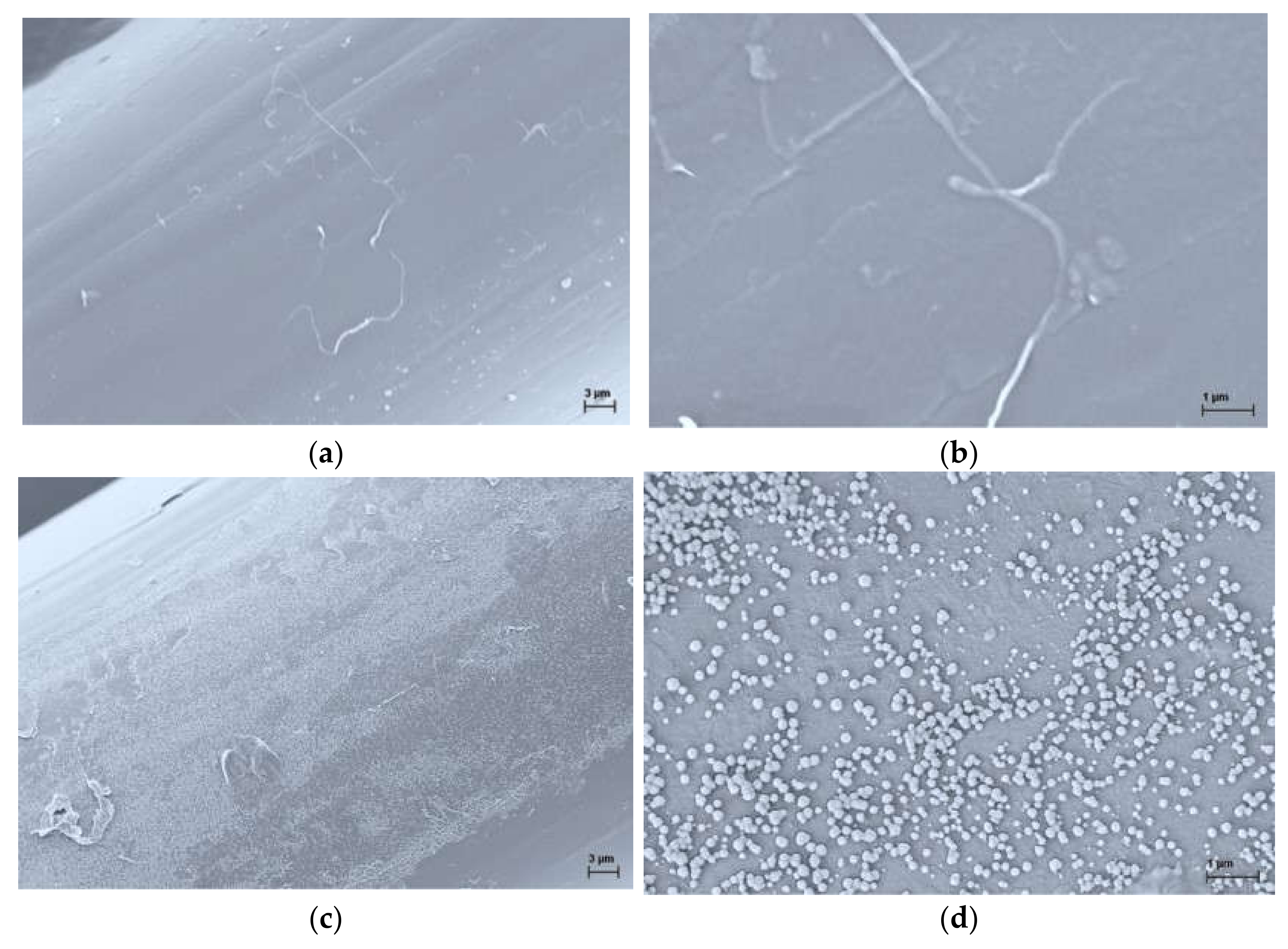 Polymers 13 00905 g004a