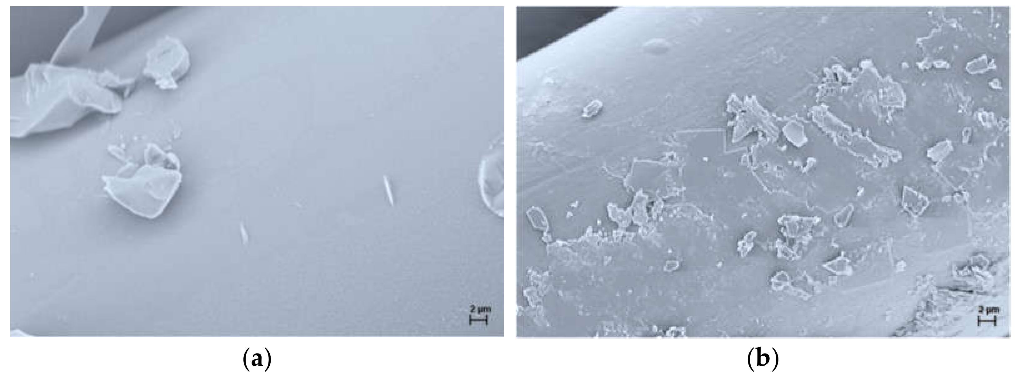 Polymers 13 00905 g005