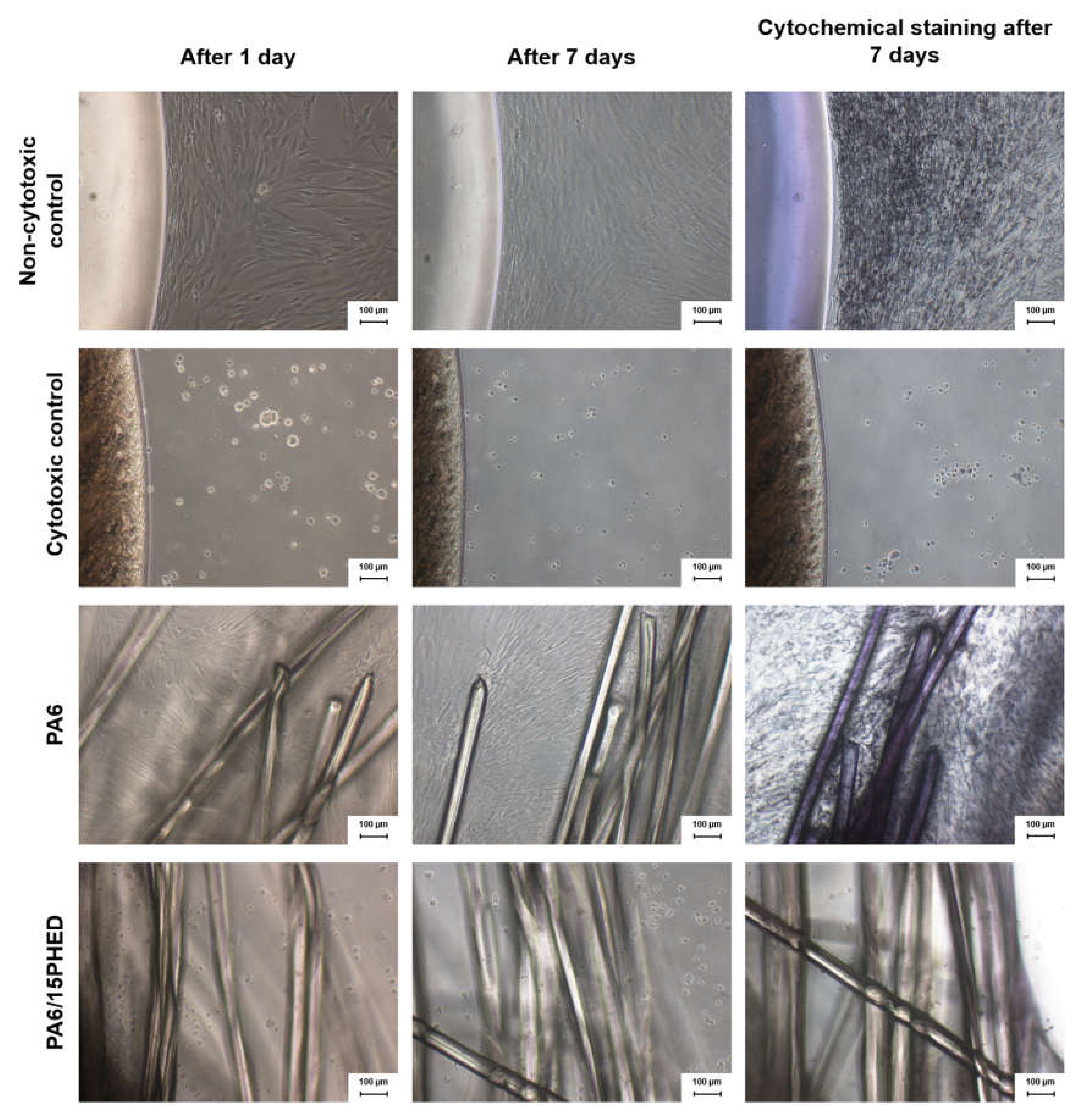 Polymers 13 00905 g008