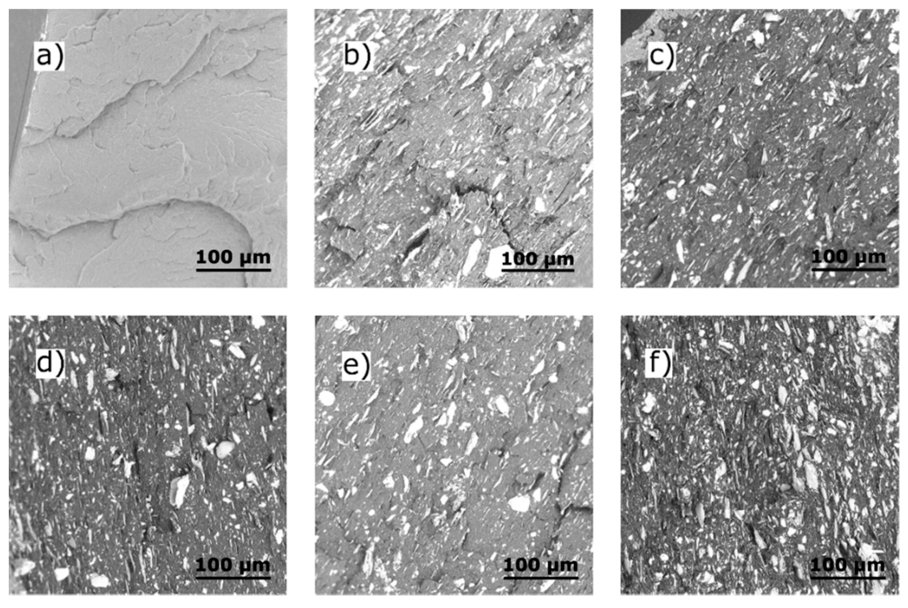 Polymers 13 00906 g001