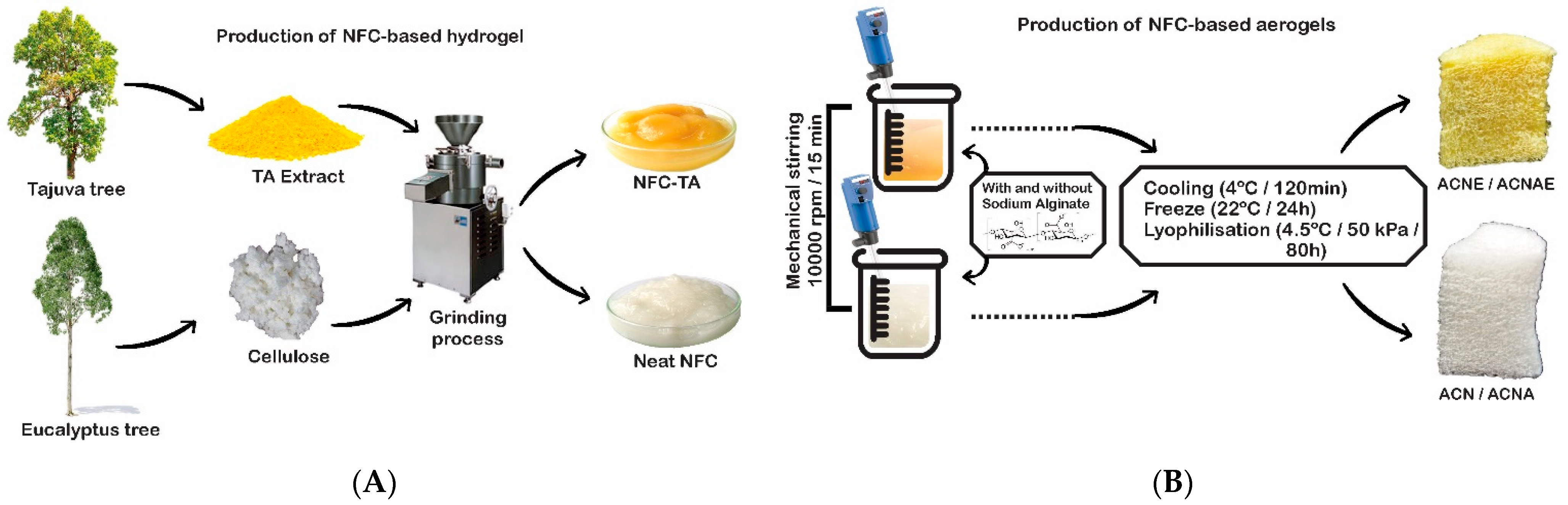 Polymers 13 00908 g001