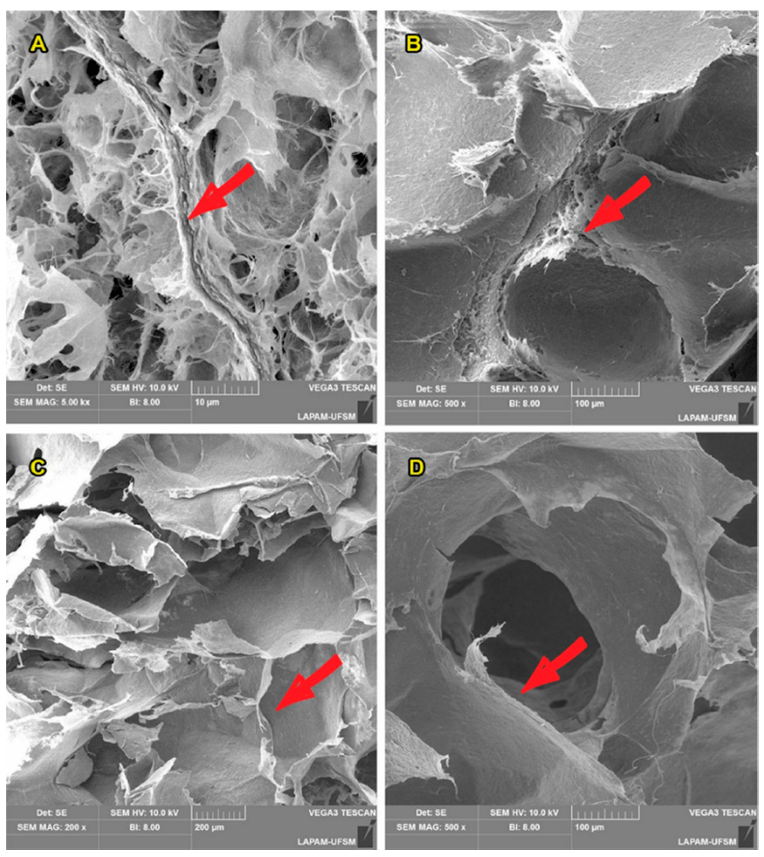 Polymers 13 00908 g004