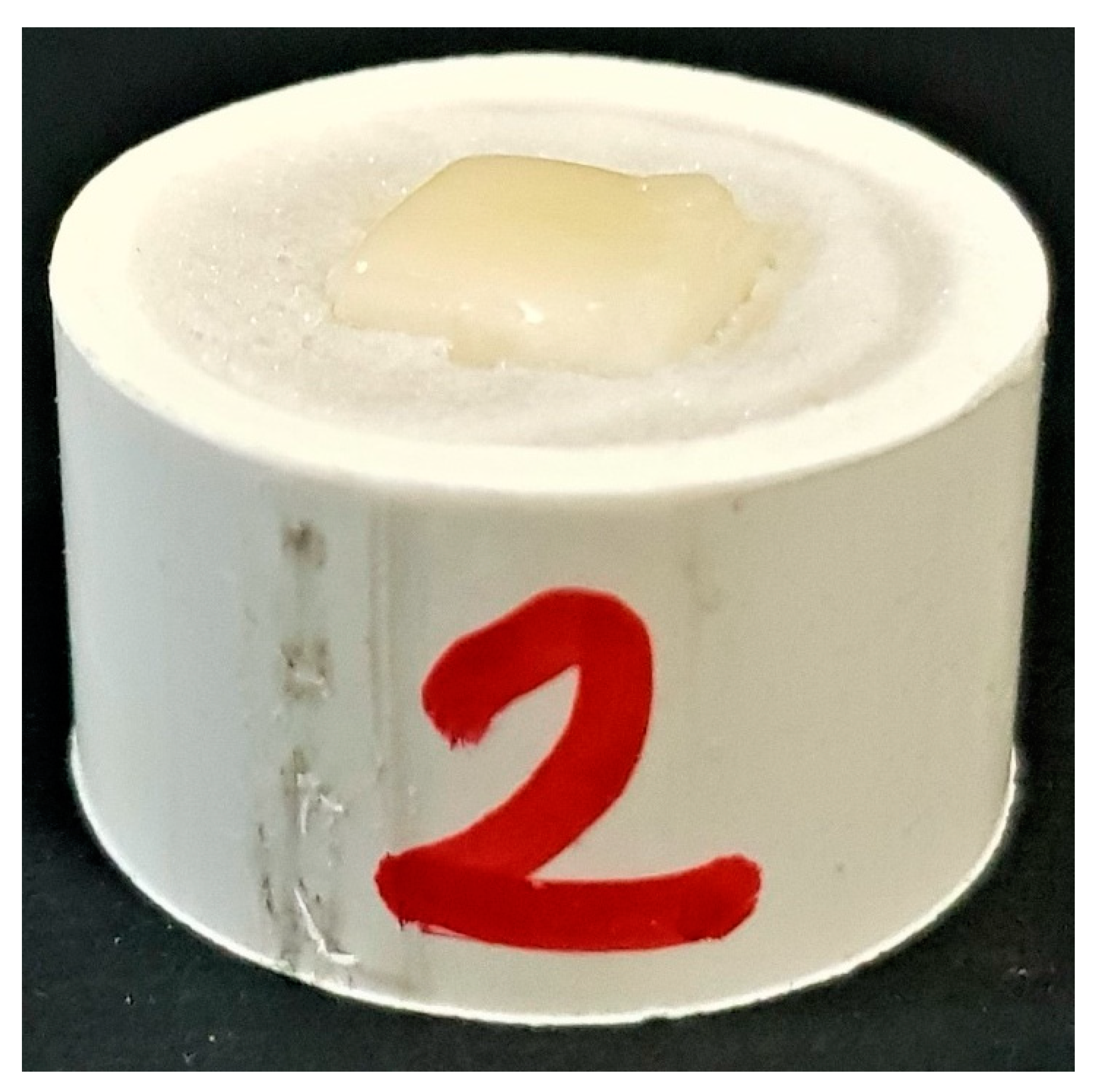 Polymers 13 00910 g001