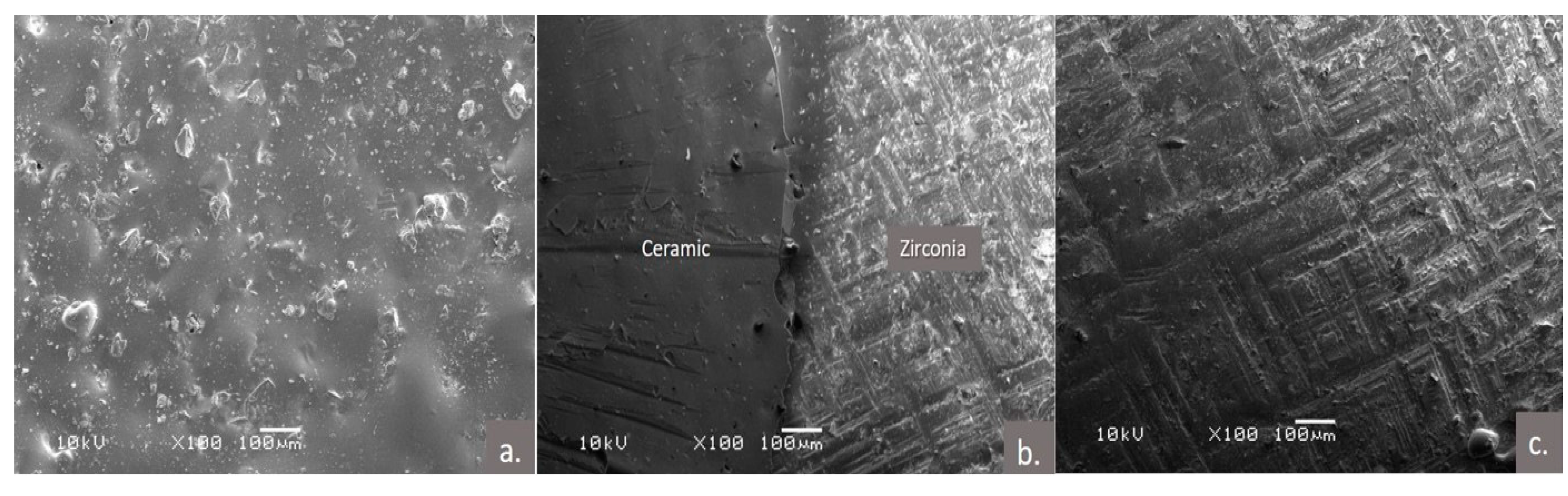 Polymers 13 00910 g003