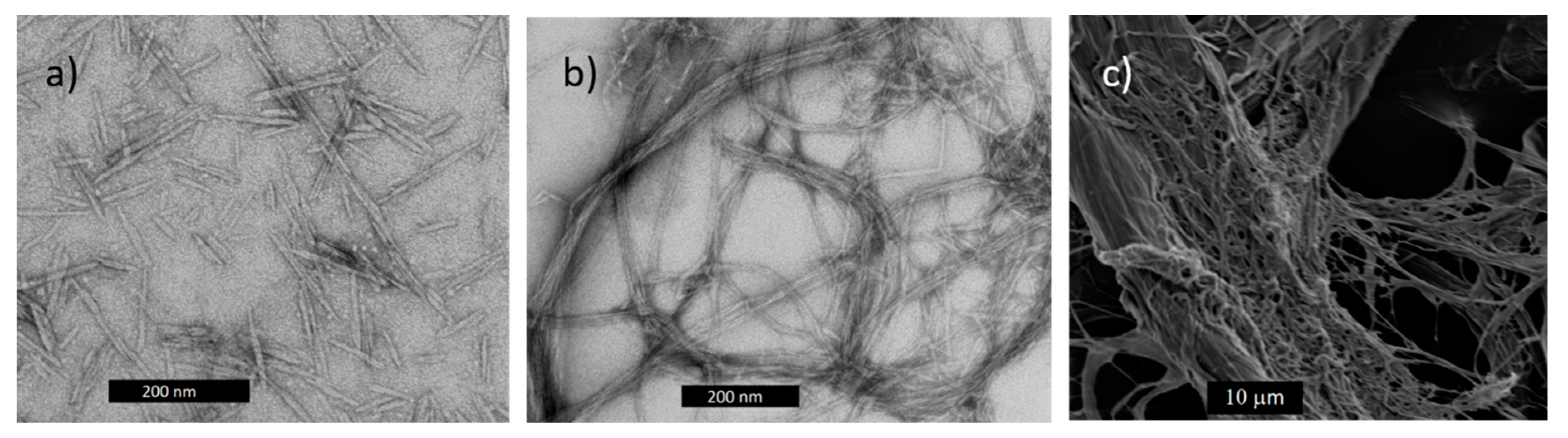 Polymers 13 00911 g002