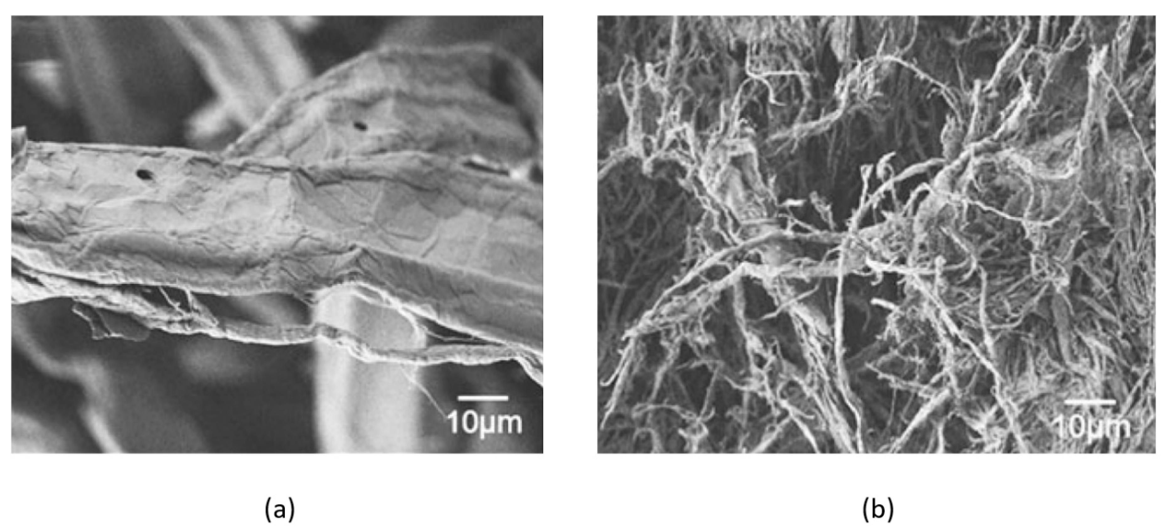 Polymers 13 00911 g005