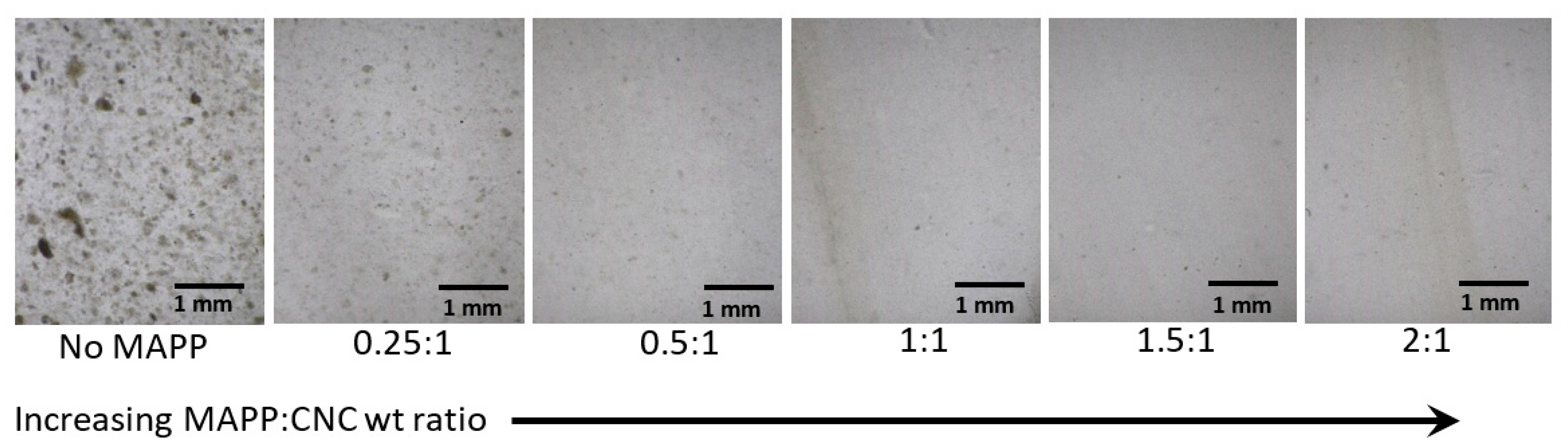 Polymers 13 00911 g009