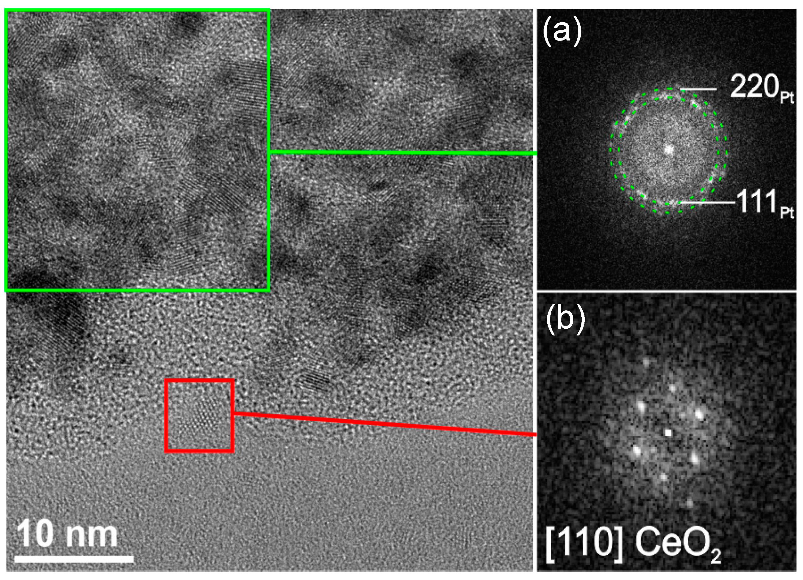 Polymers 13 00912 g003