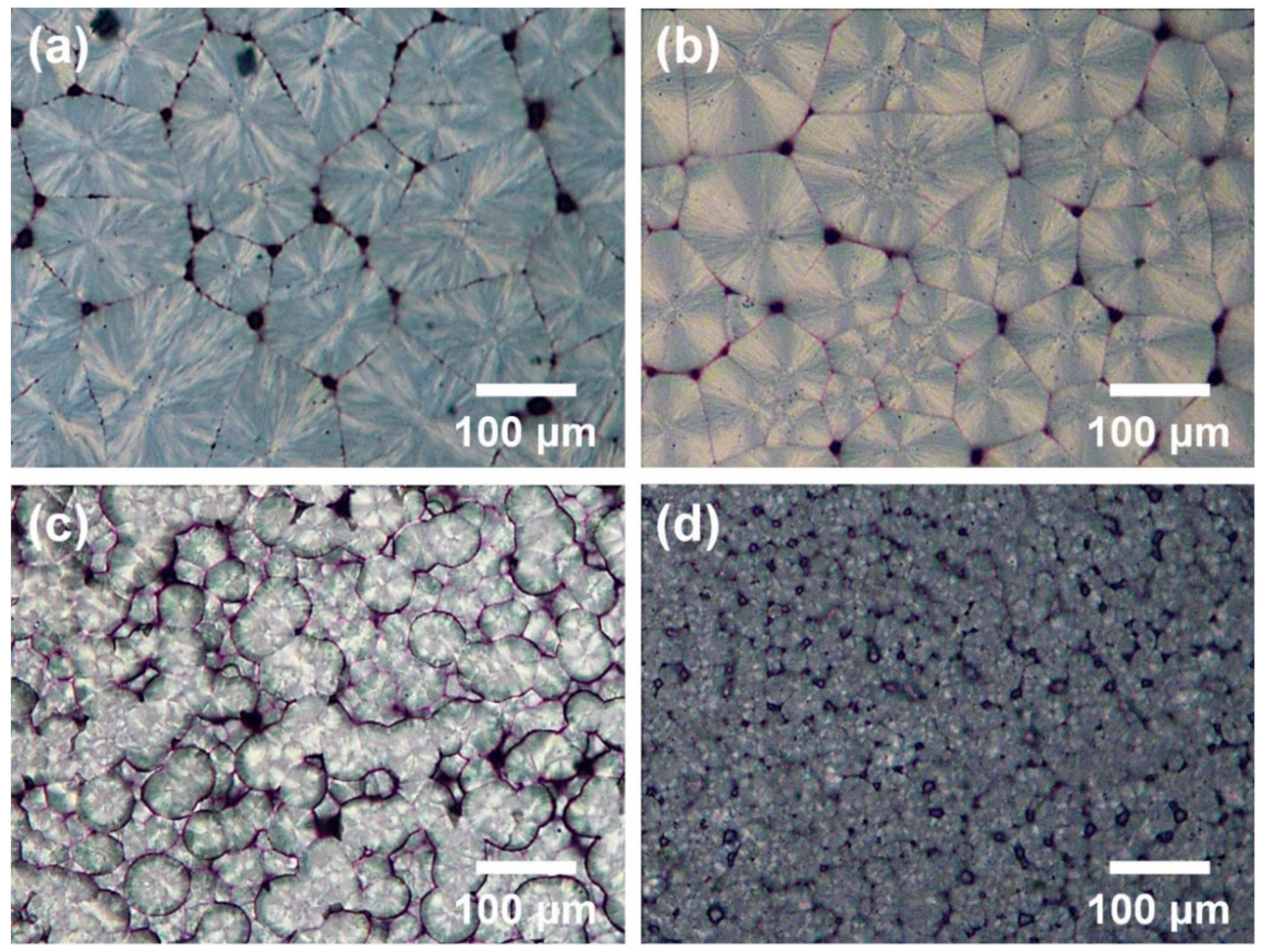 Polymers 13 00919 g005