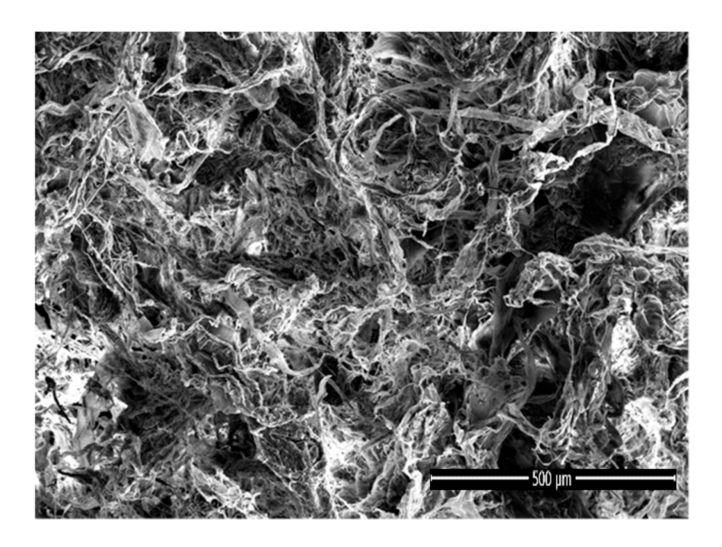 Polymers 13 00921 g005