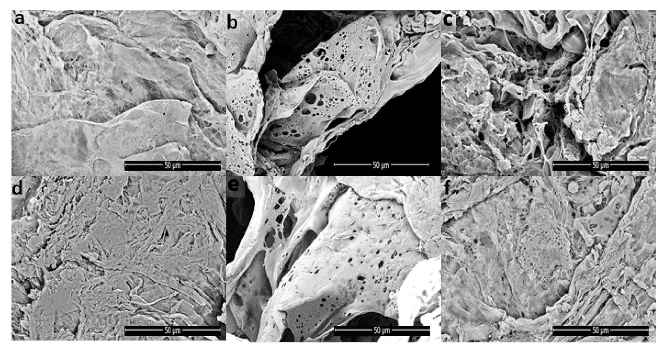 Polymers 13 00921 g006