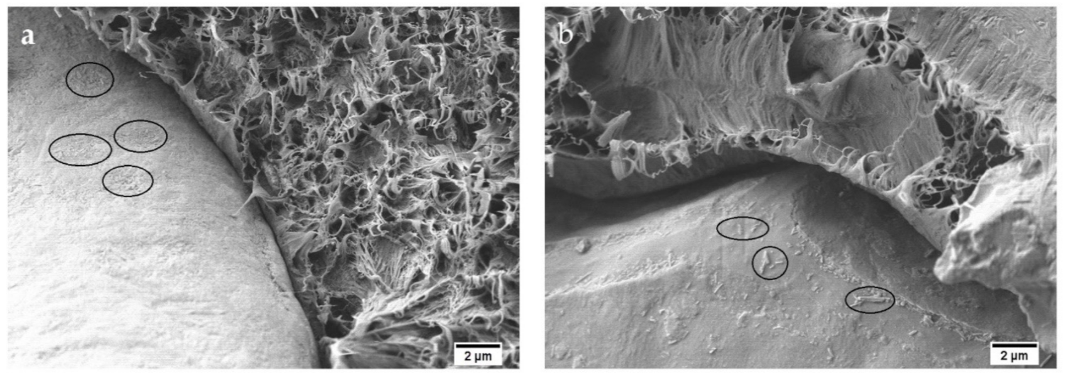 Polymers 13 00922 g004