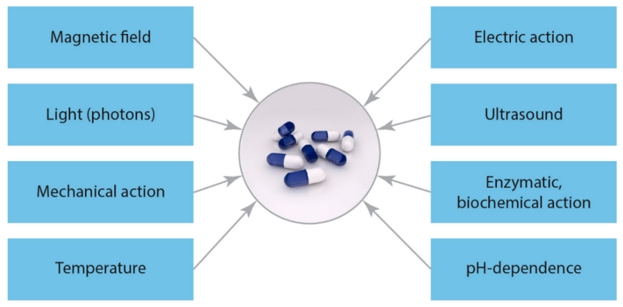 Polymers 13 00924 g005