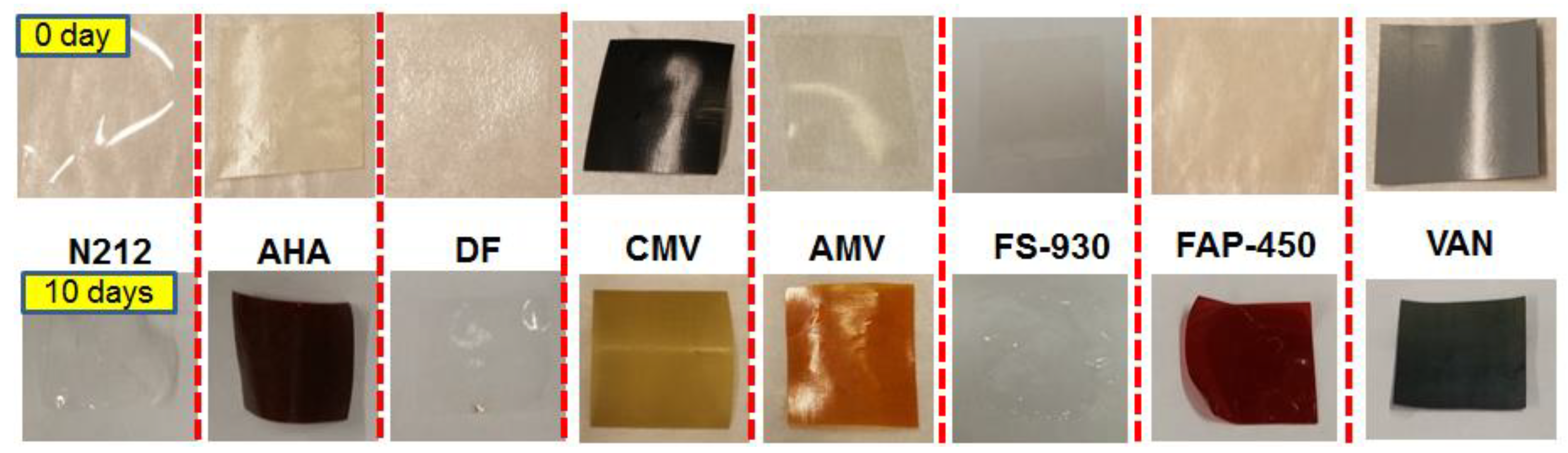 Polymers 13 00926 g002