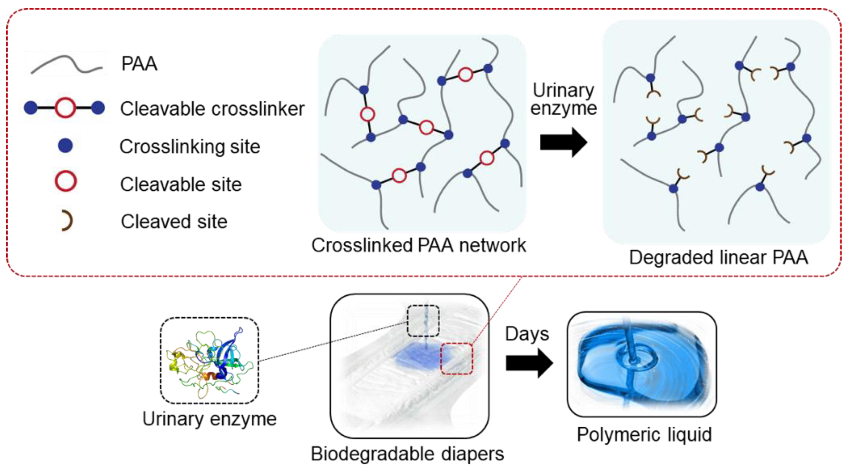 Polymers 13 00929 g001