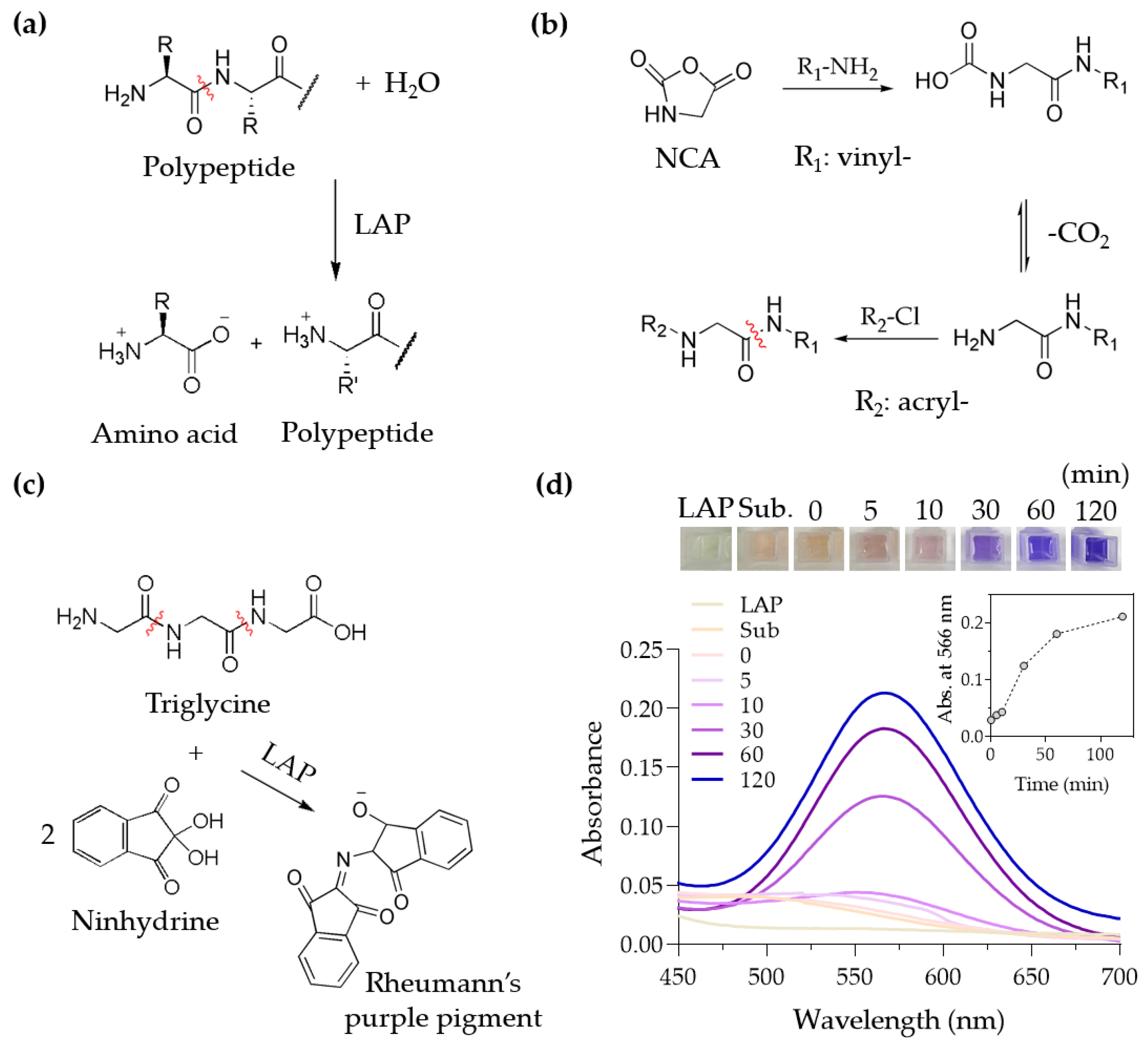 Polymers 13 00929 g002