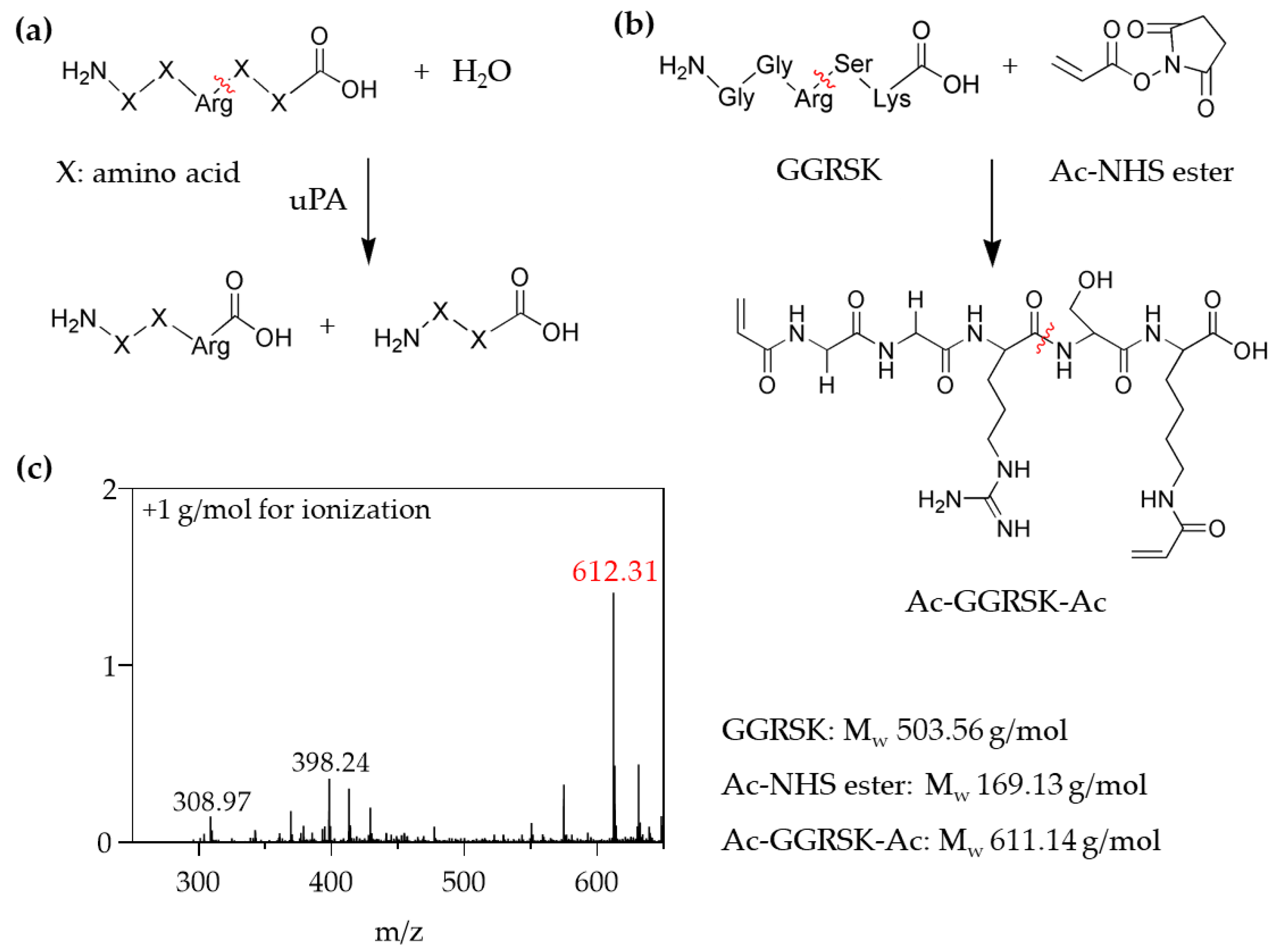 Polymers 13 00929 g004