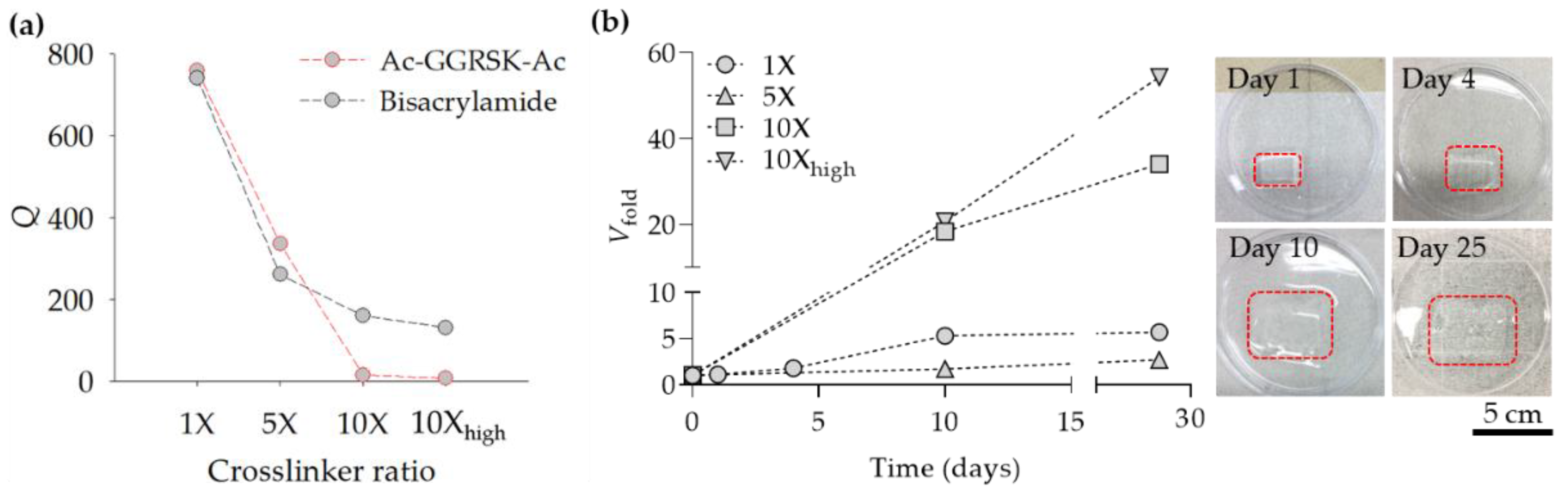 Polymers 13 00929 g005