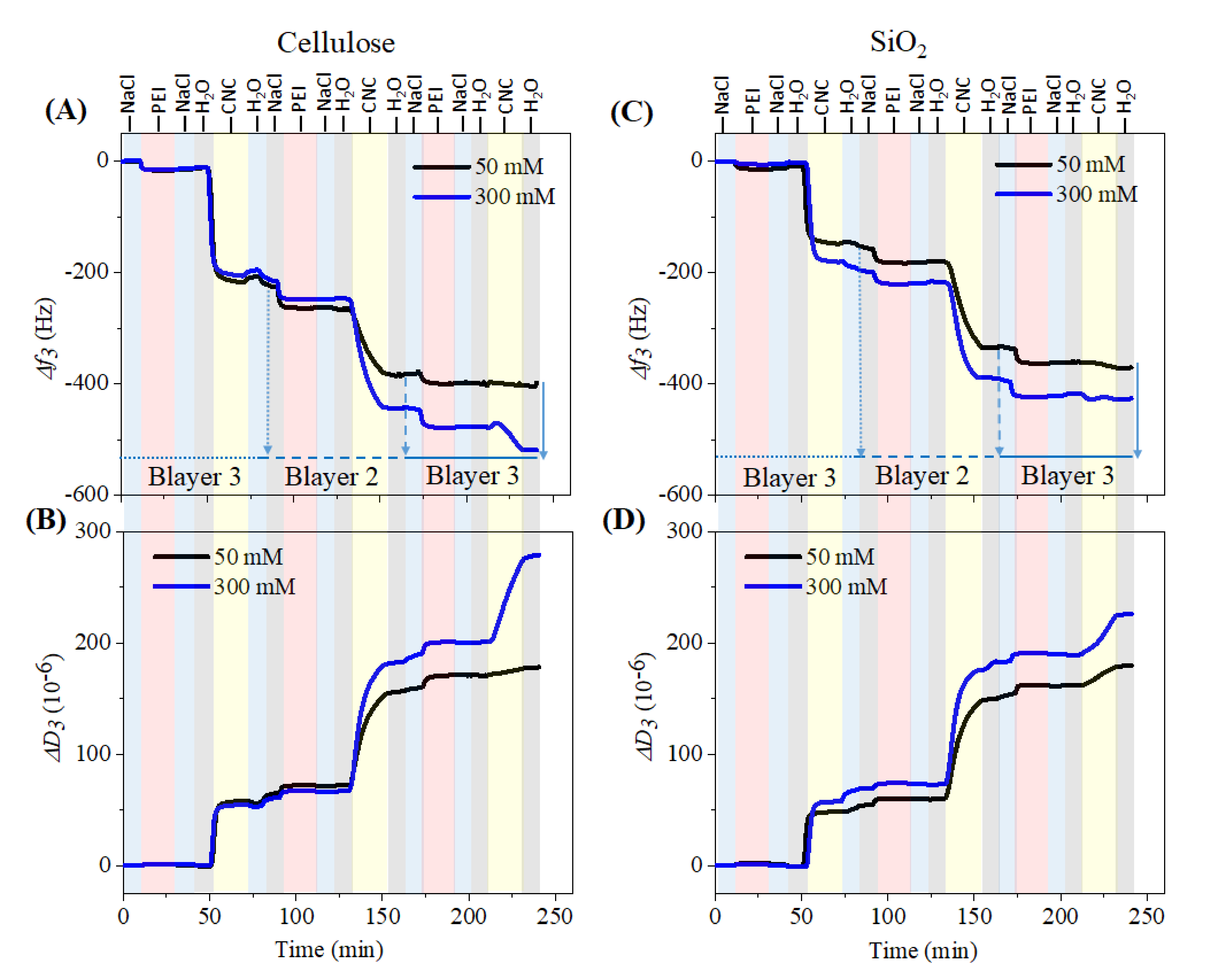Polymers 13 00939 g002