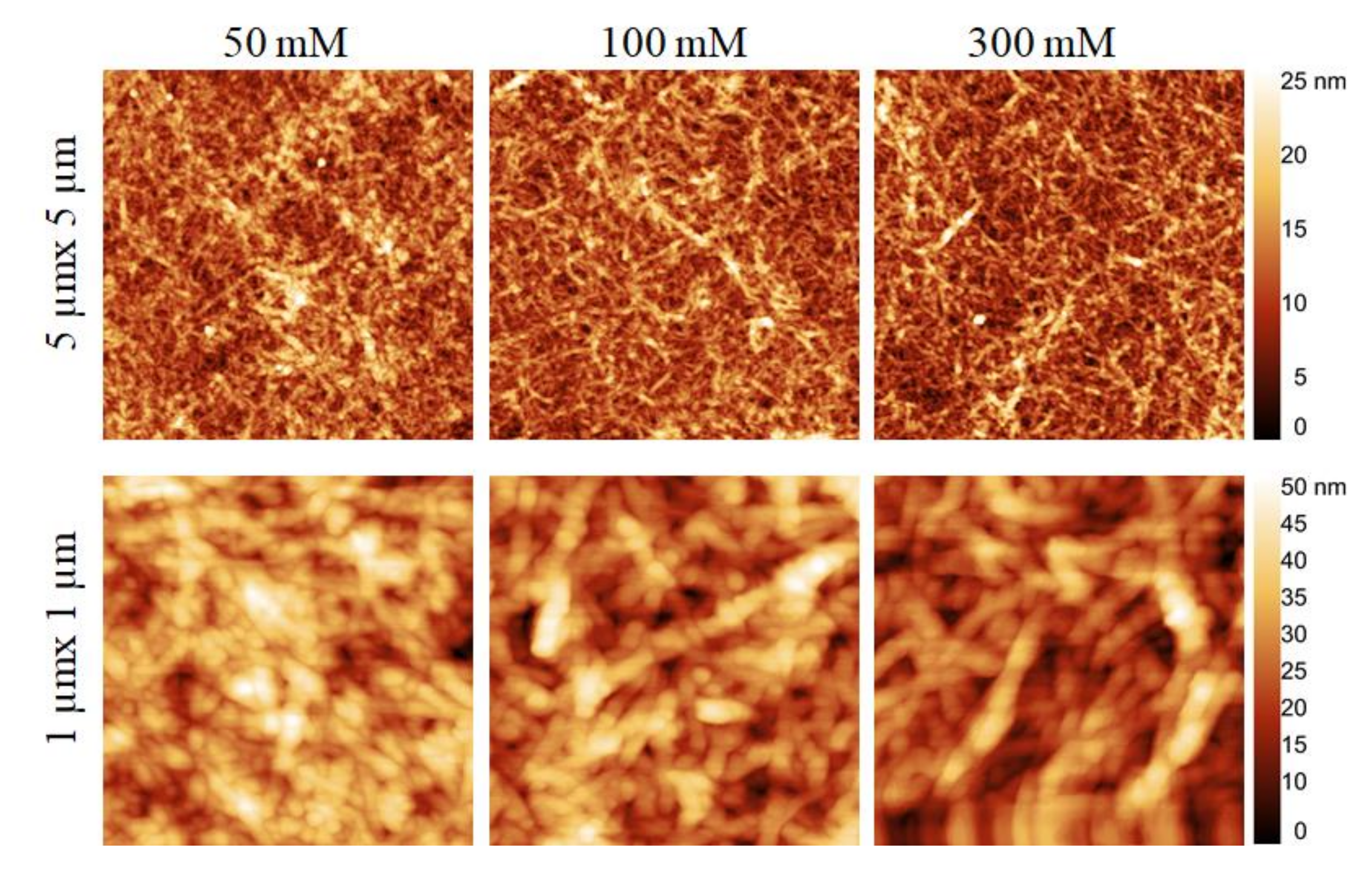 Polymers 13 00939 g004