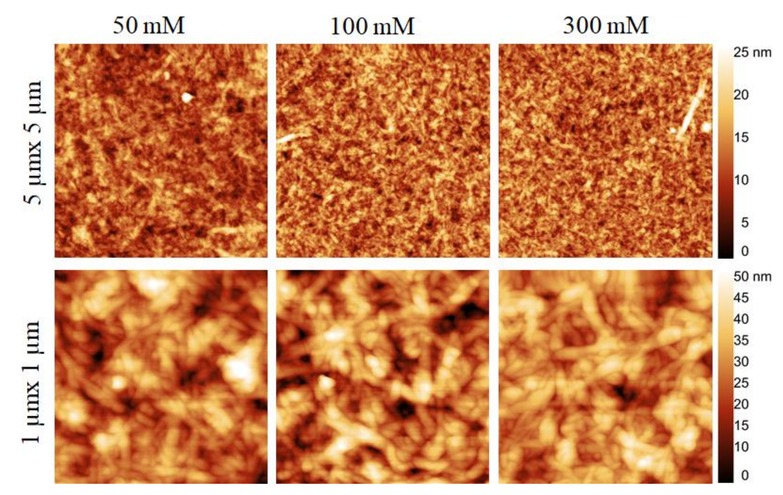 Polymers 13 00939 g005