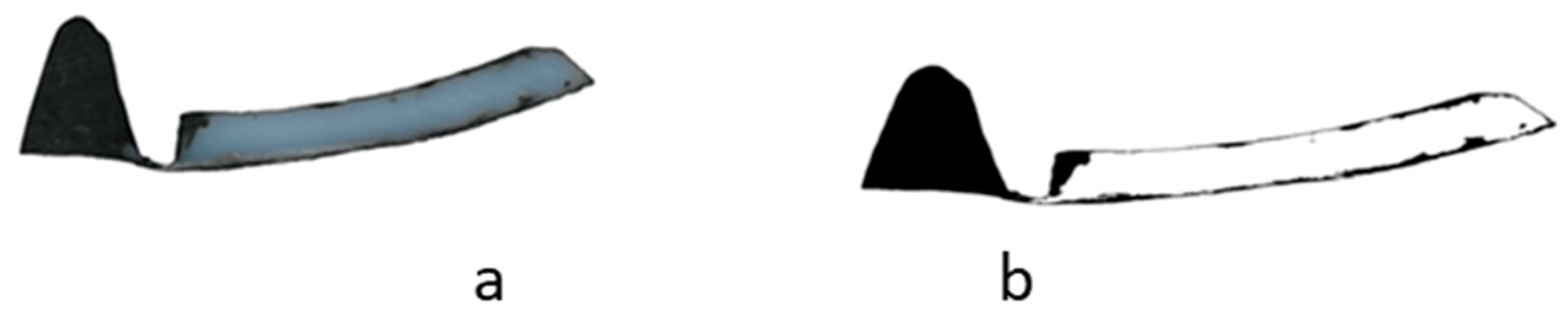 Polymers 13 00944 g002