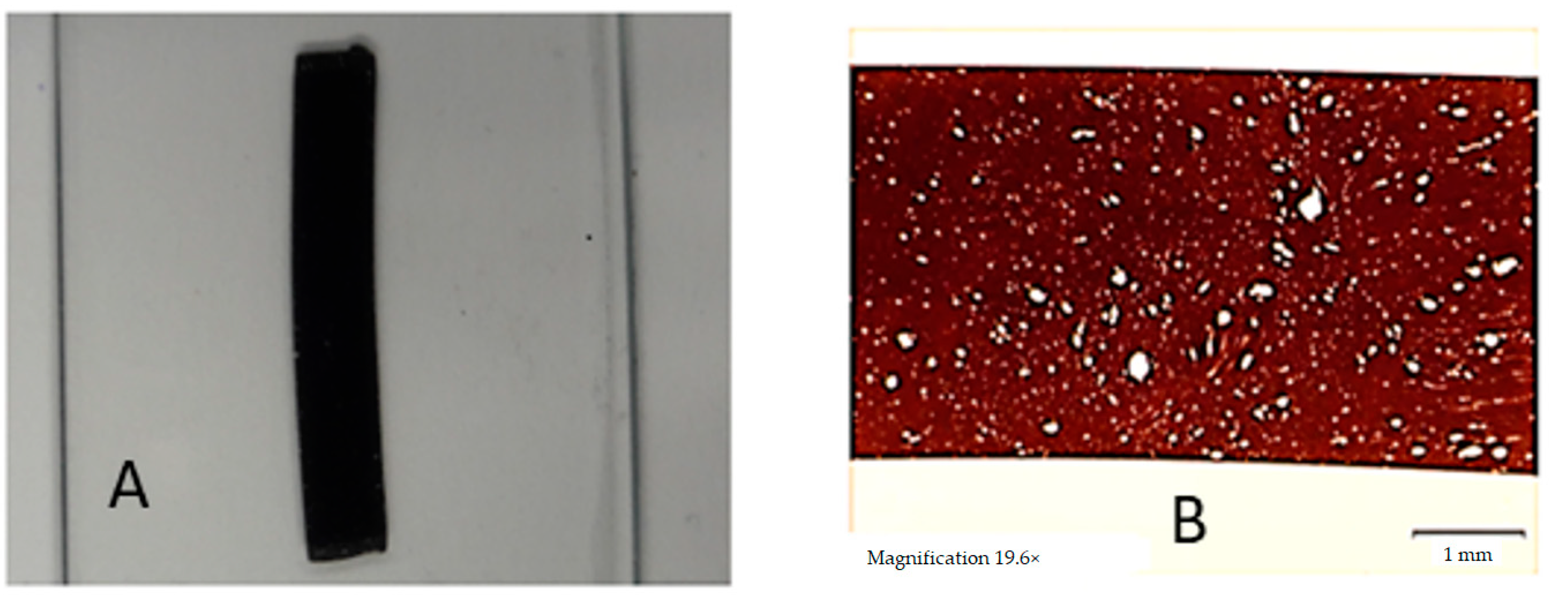 Polymers 13 00944 g003
