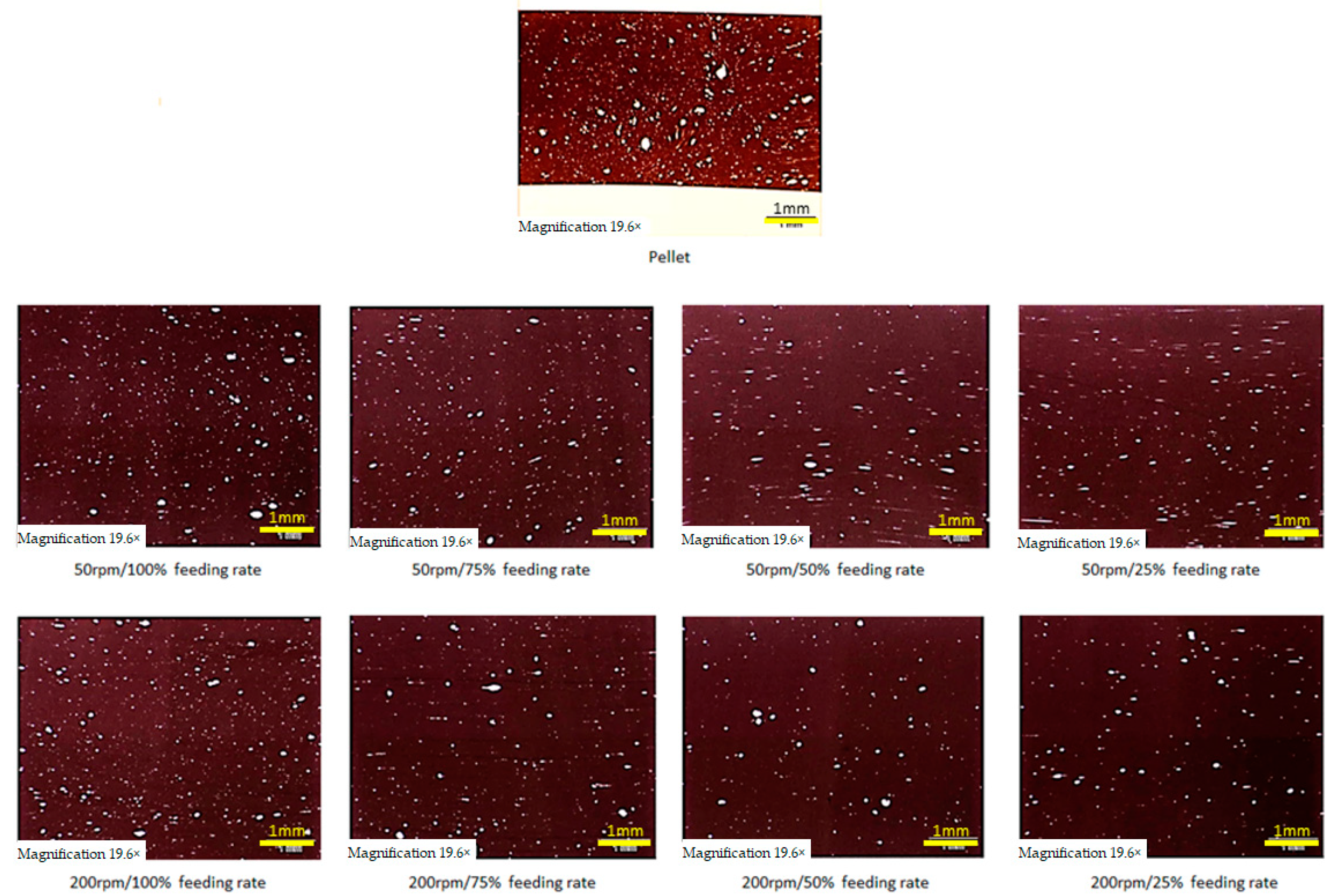 Polymers 13 00944 g015