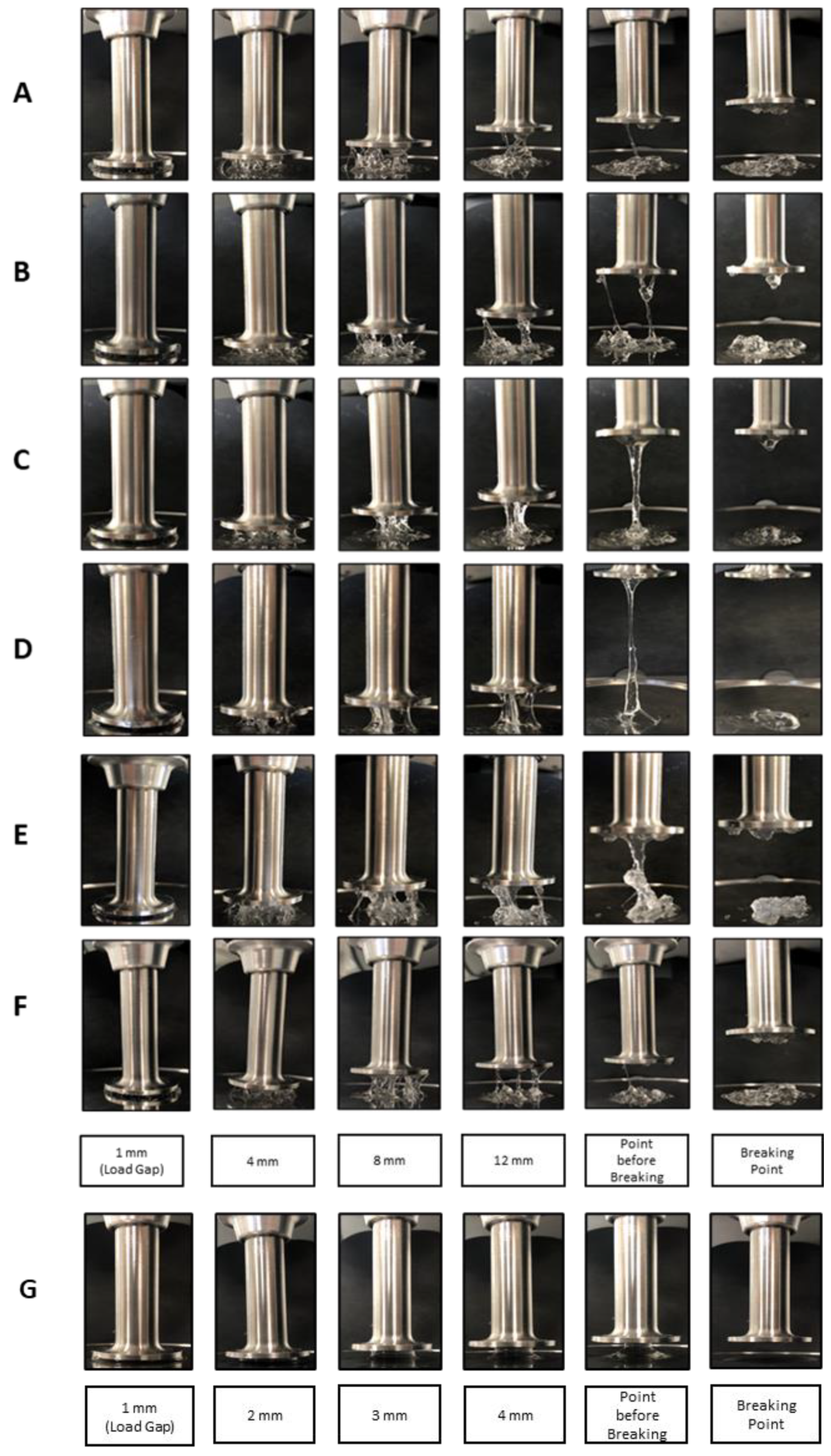 Polymers 13 00948 g007