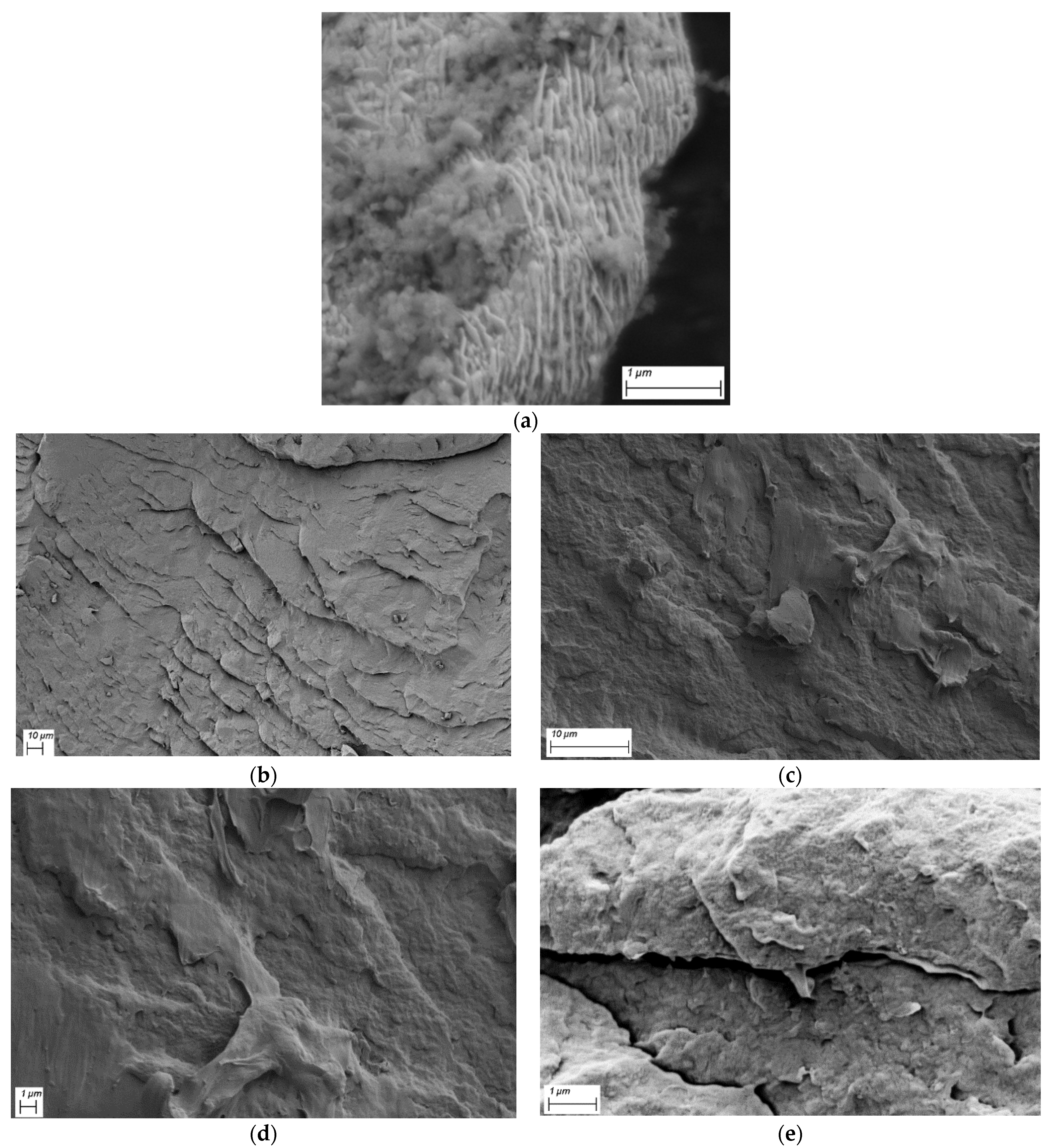 Polymers 13 00949 g017