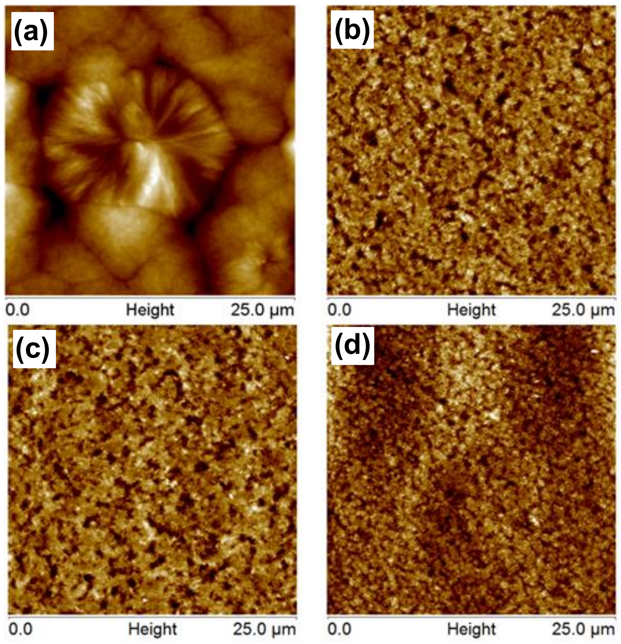 Polymers 13 00950 g003