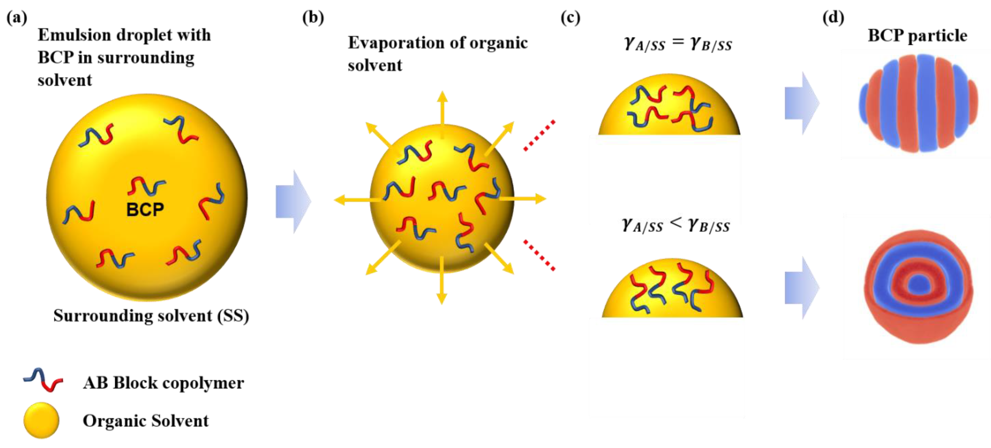 Polymers 13 00953 sch001