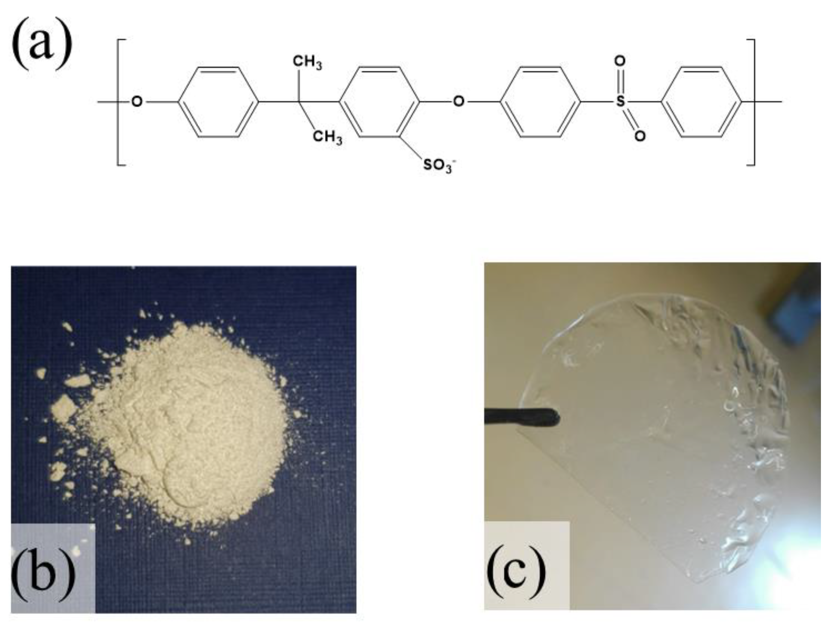Polymers 13 00959 g001