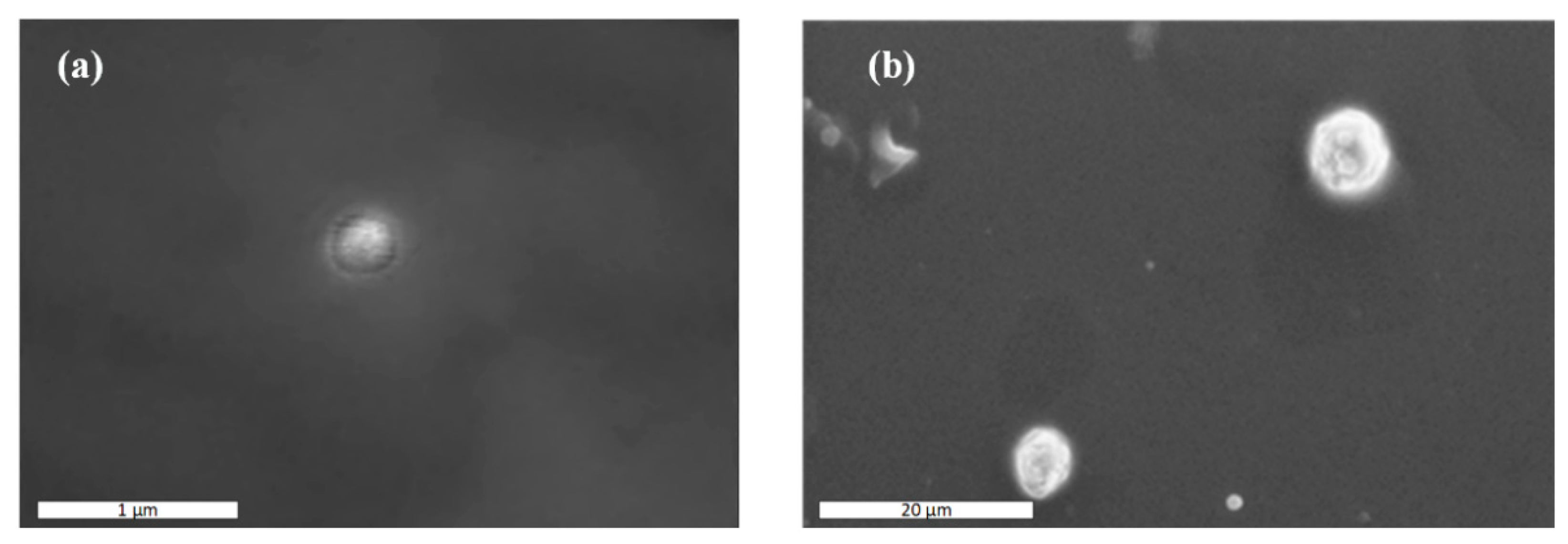 Polymers 13 00960 g004