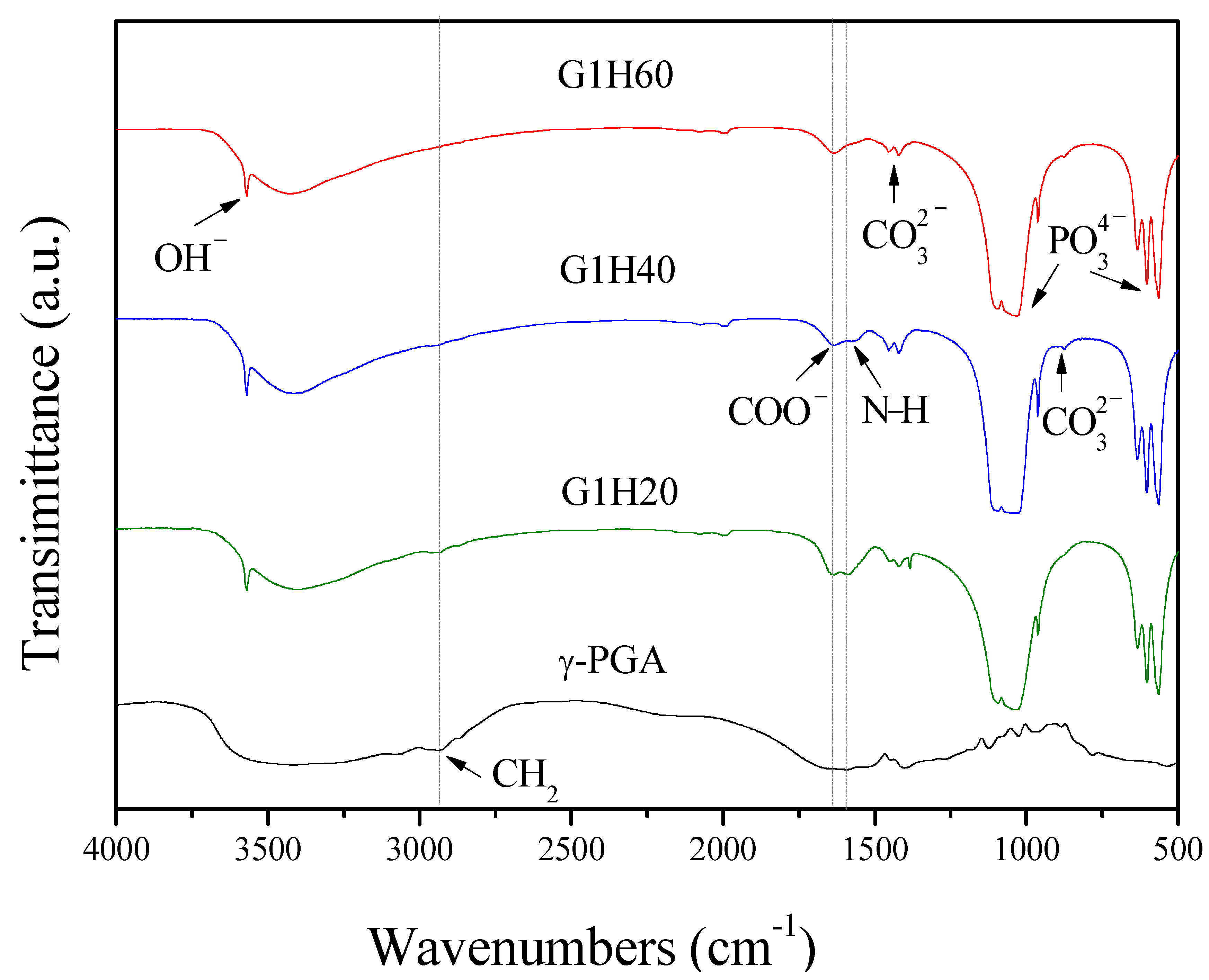 Polymers 13 00962 g001