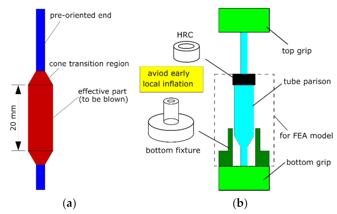 Polymers 13 00967 g002